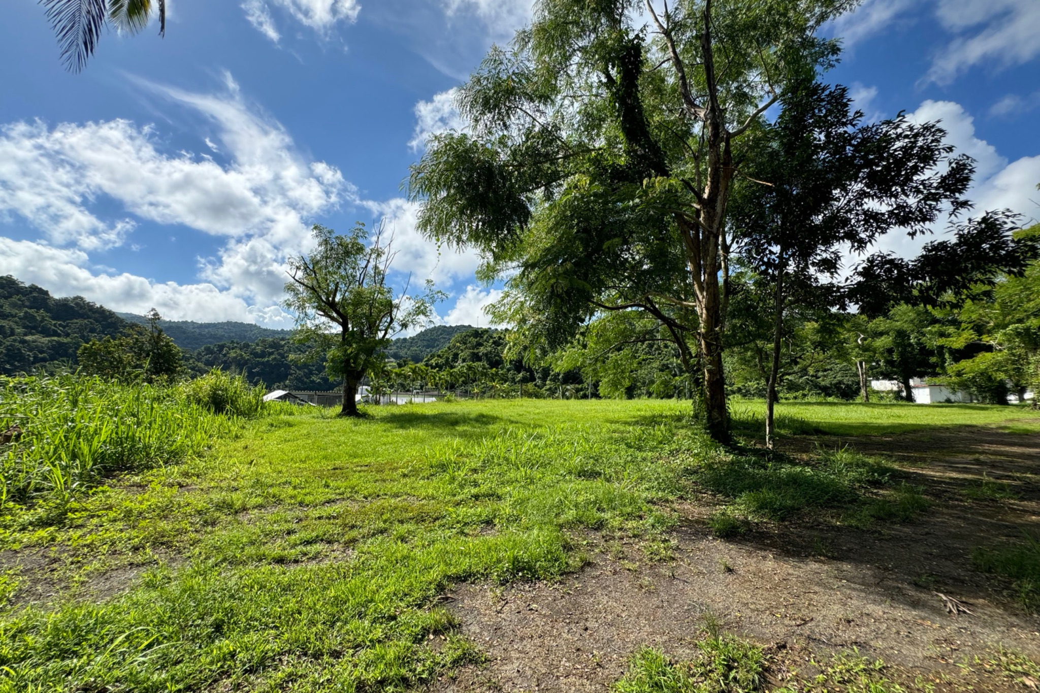 Finca de 10.6 cuerdas de terreno con 1,500 pies frente  Rio Canovanillas.  Preciosa!, Canóvanas - 4