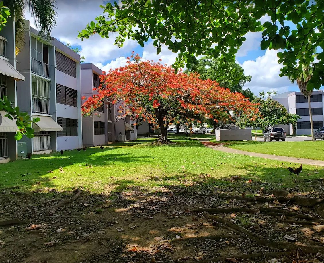 Condominio River Park, Bayamón - 15
