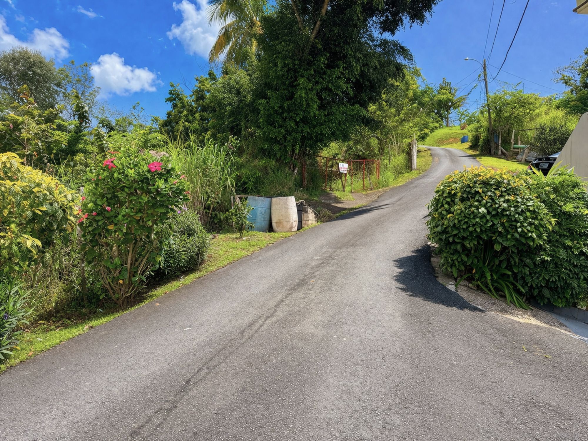 Camino Sioso Virella, Corozal - 3