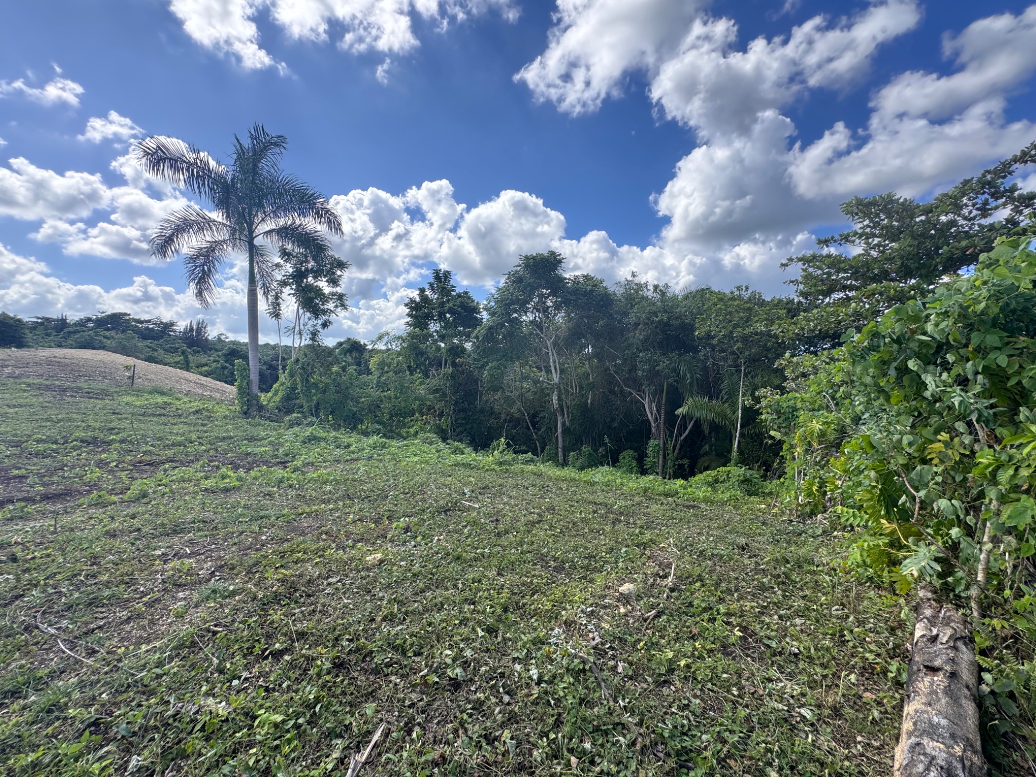 Carr 455 km 2.8 Int. Bo. Cibao, San Sebastian PR 00685, San Sebastián - 15