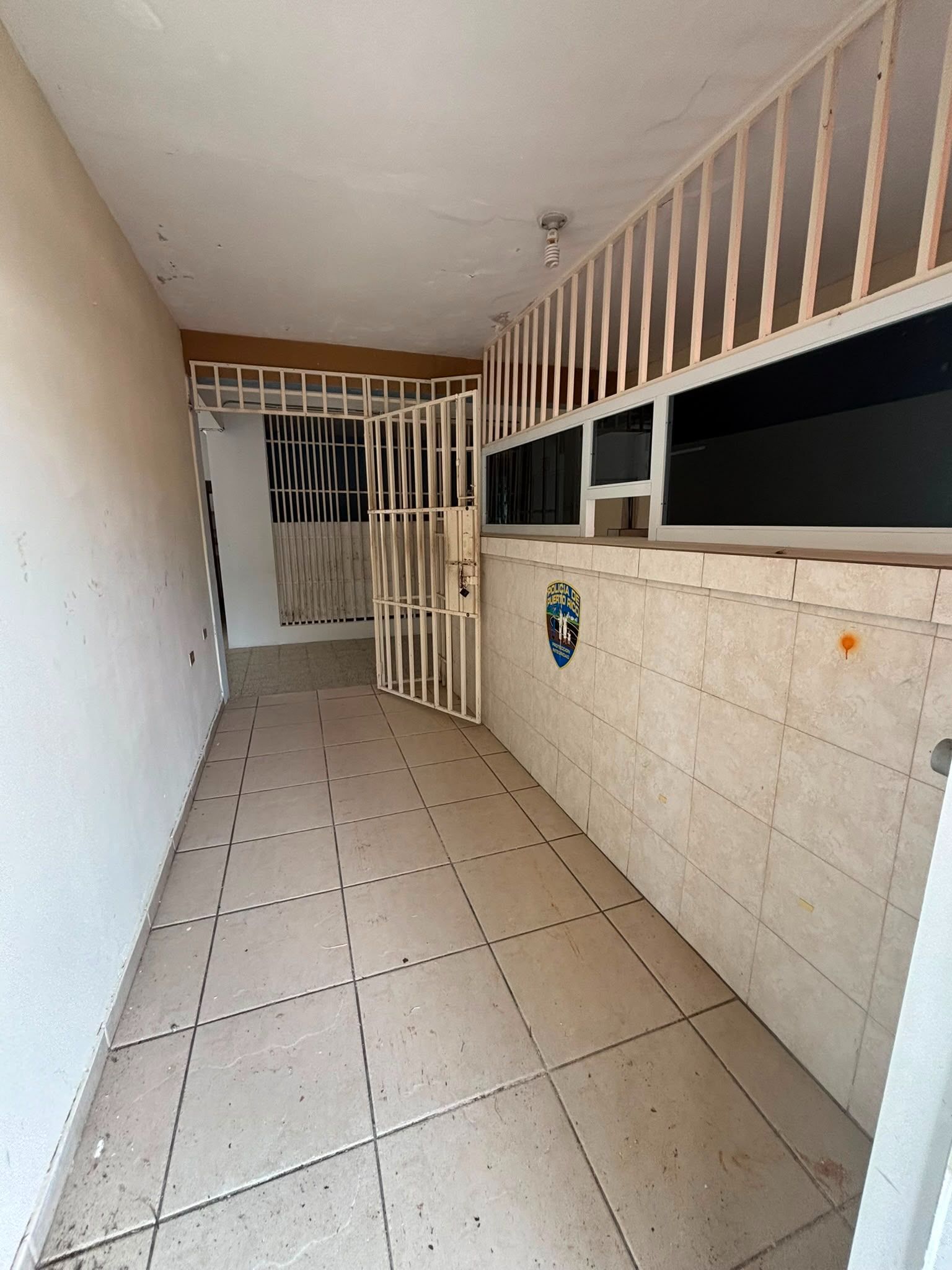 Algarrobo, Vega Baja - 3