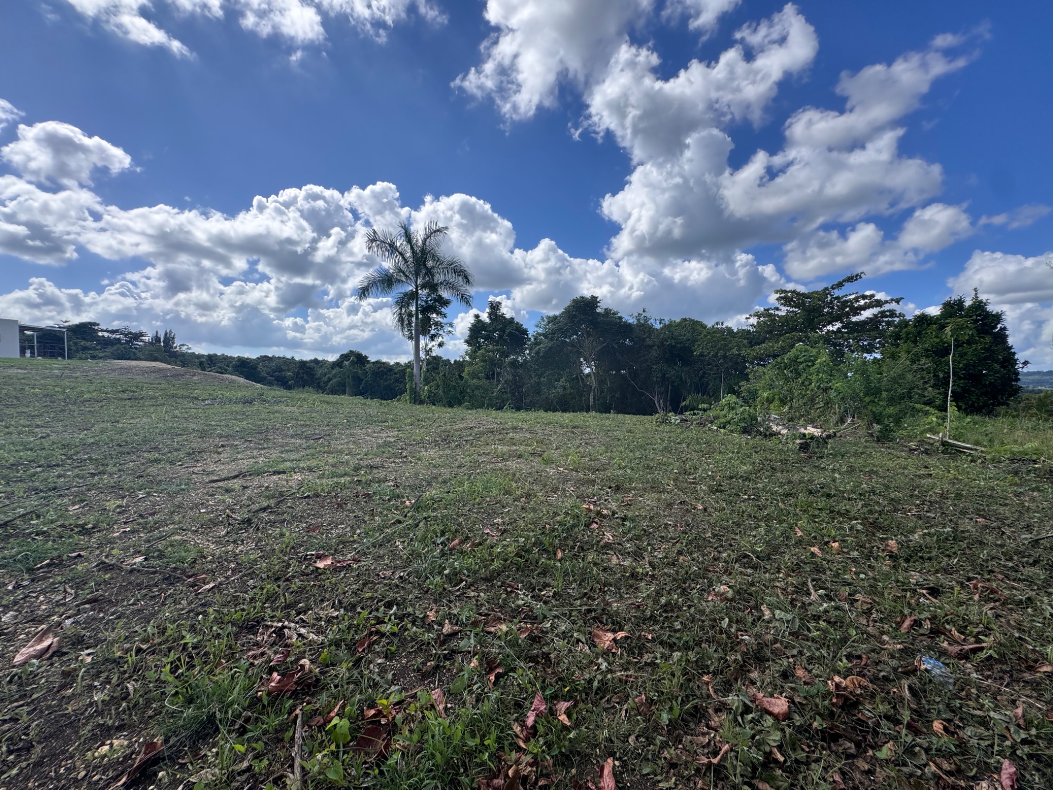 Carr 455 km 2.8 Int. Bo. Cibao, San Sebastian PR 00685, San Sebastián - 7