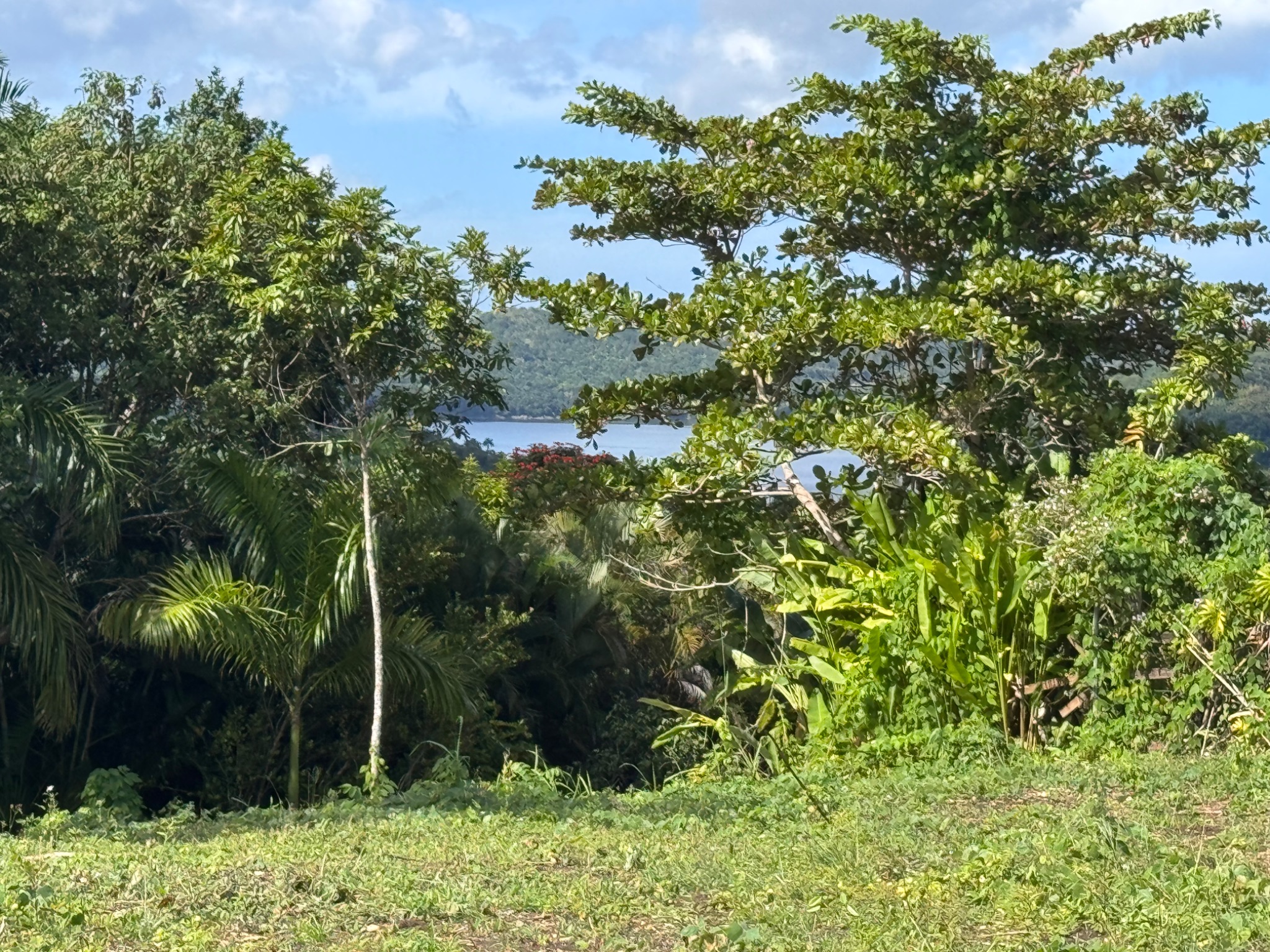 Carr 455 km 2.8 Int. Bo. Cibao, San Sebastian PR 00685, San Sebastián - 9
