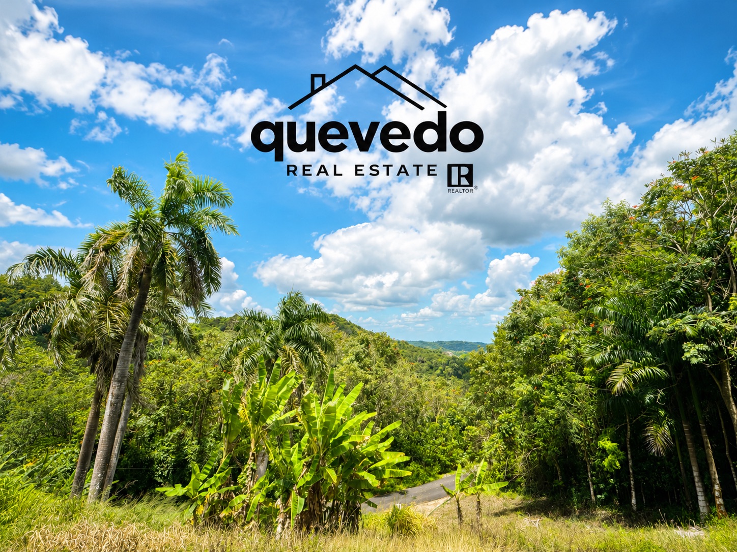 Fránquez, Morovis - 1