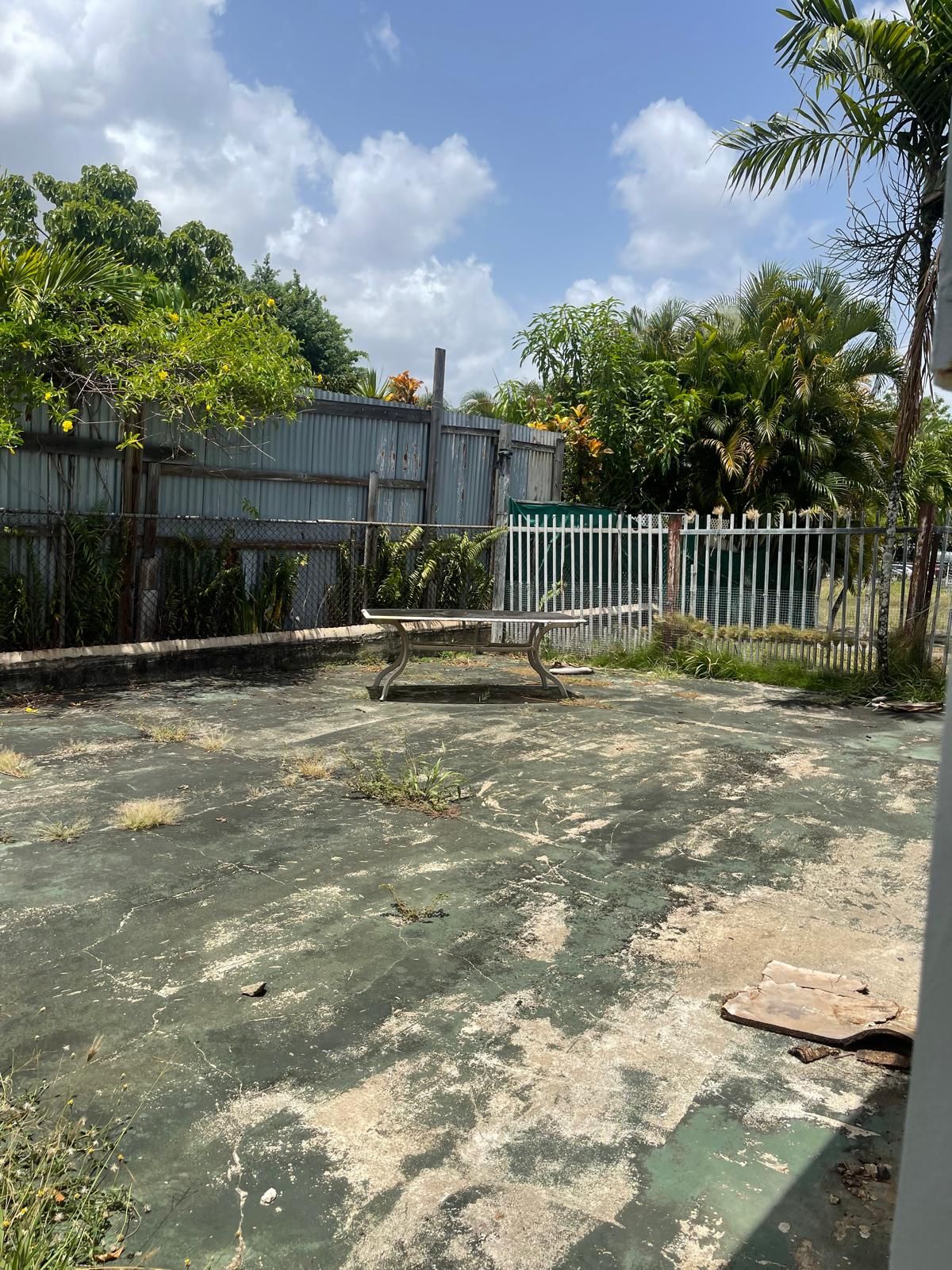 929 Calle Lirio, Trujillo Alto, PR, Trujillo Alto - 14