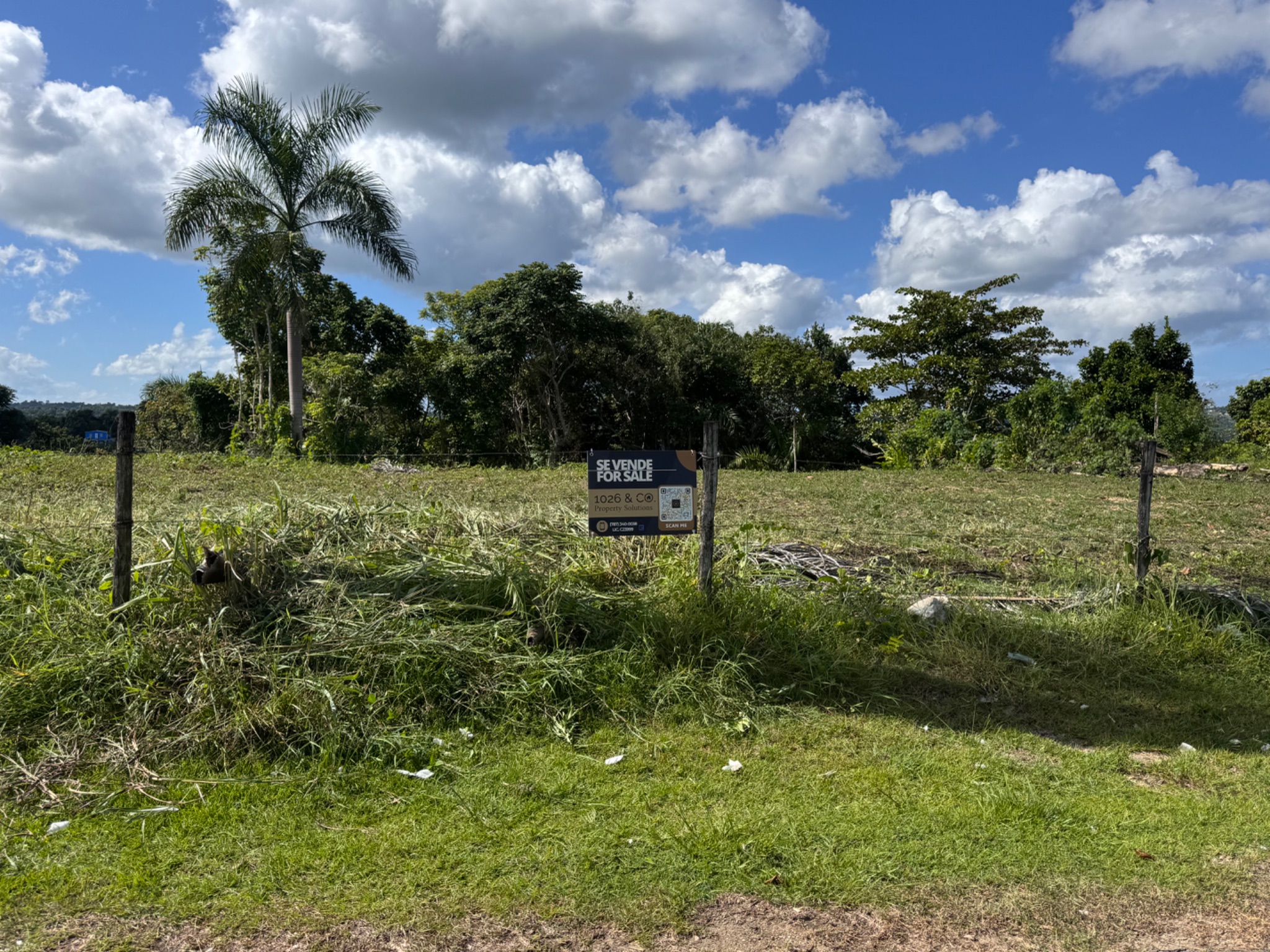 Carr 455 km 2.8 Int. Bo. Cibao, San Sebastian PR 00685, San Sebastián - 17