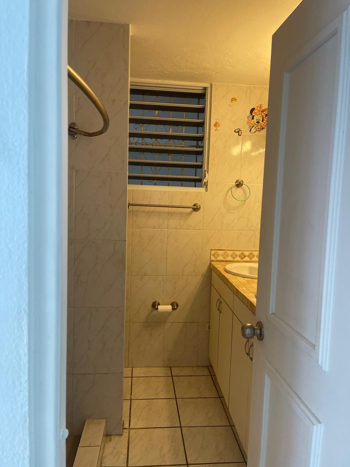 929 Calle Lirio, Trujillo Alto, PR, Trujillo Alto - 15