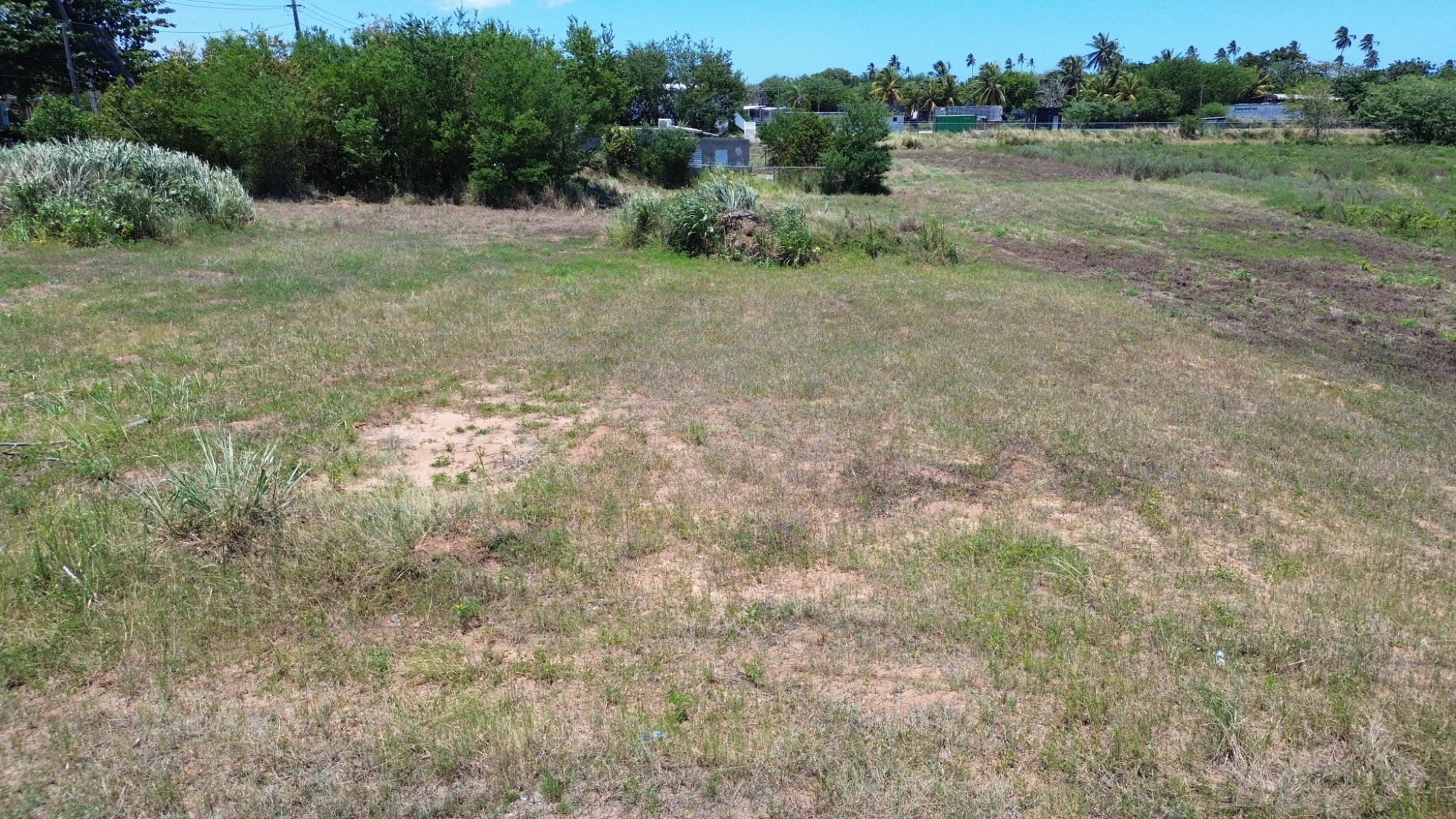 Jobos, Isabela - 2