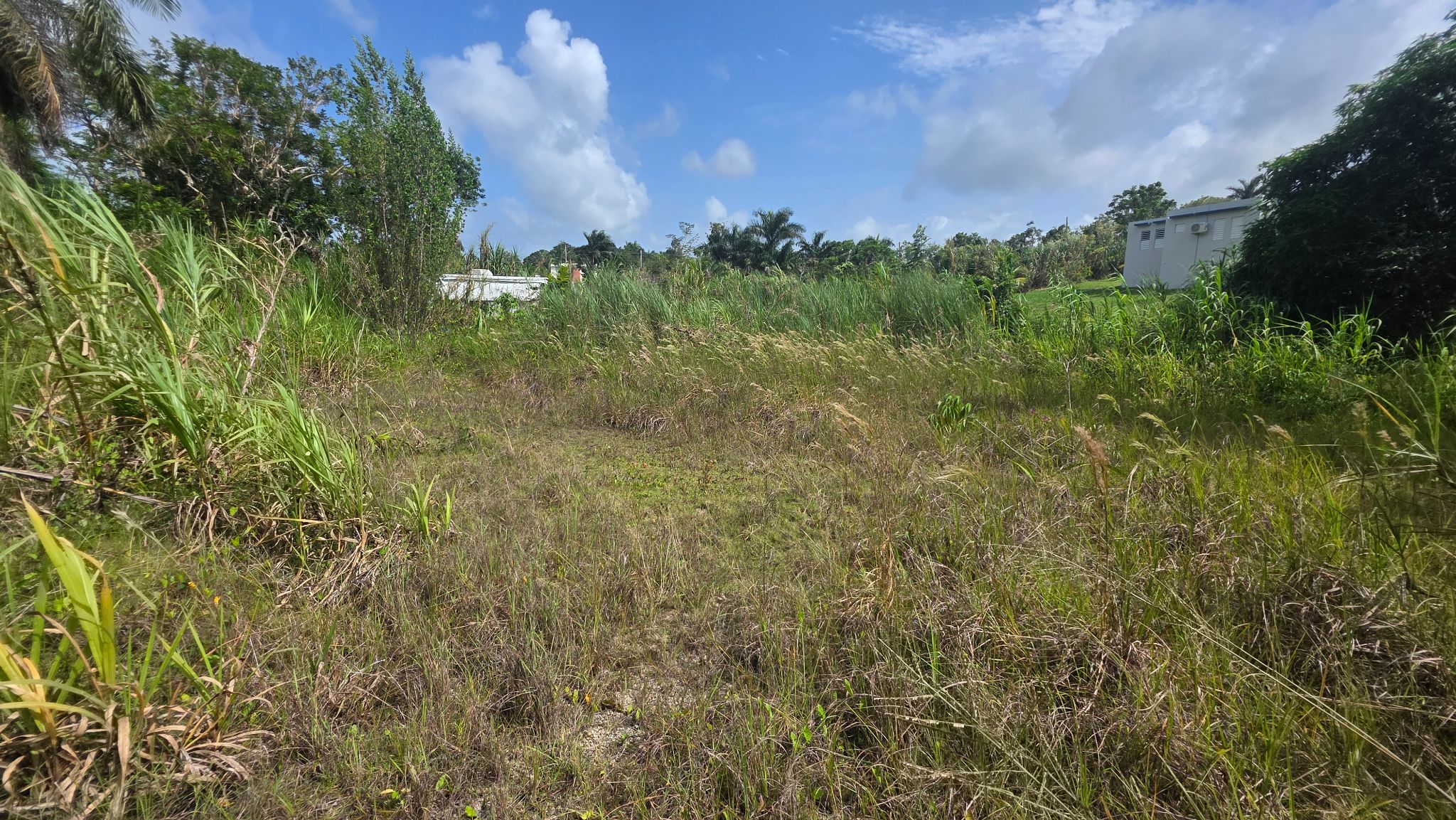 Bo. Planas, Isabela - 4