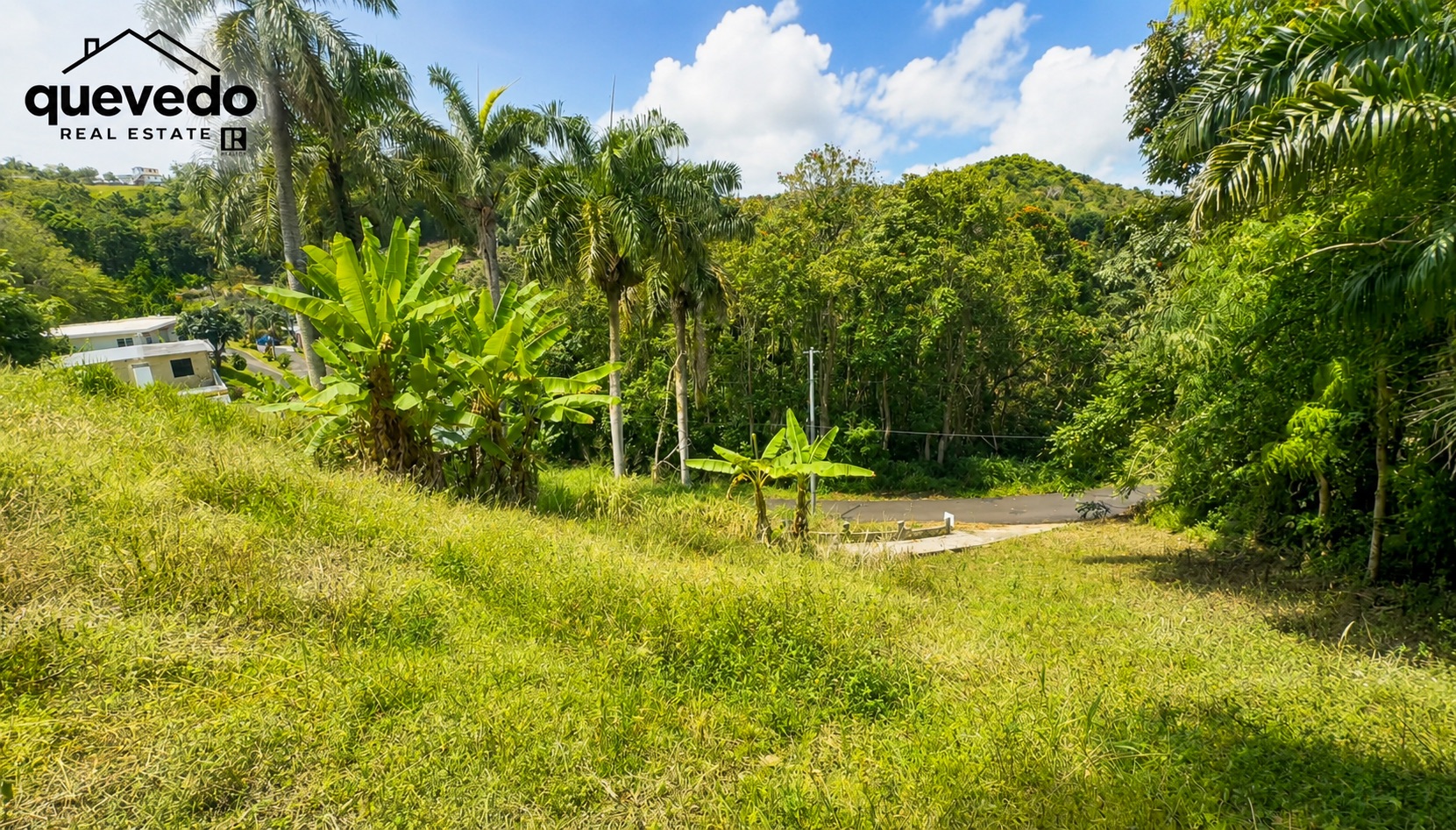 Fránquez, Morovis - 9