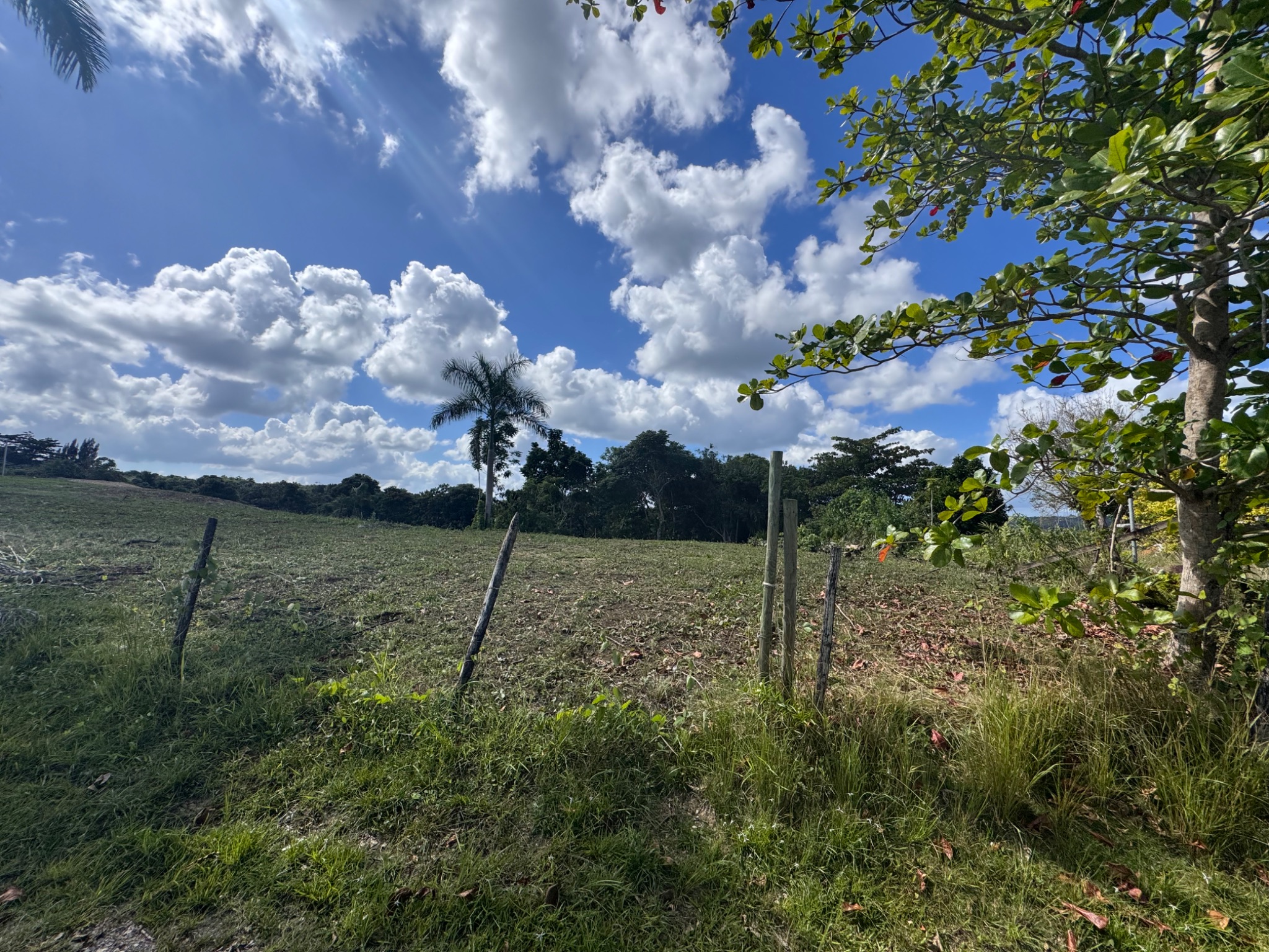 Carr 455 km 2.8 Int. Bo. Cibao, San Sebastian PR 00685, San Sebastián - 4