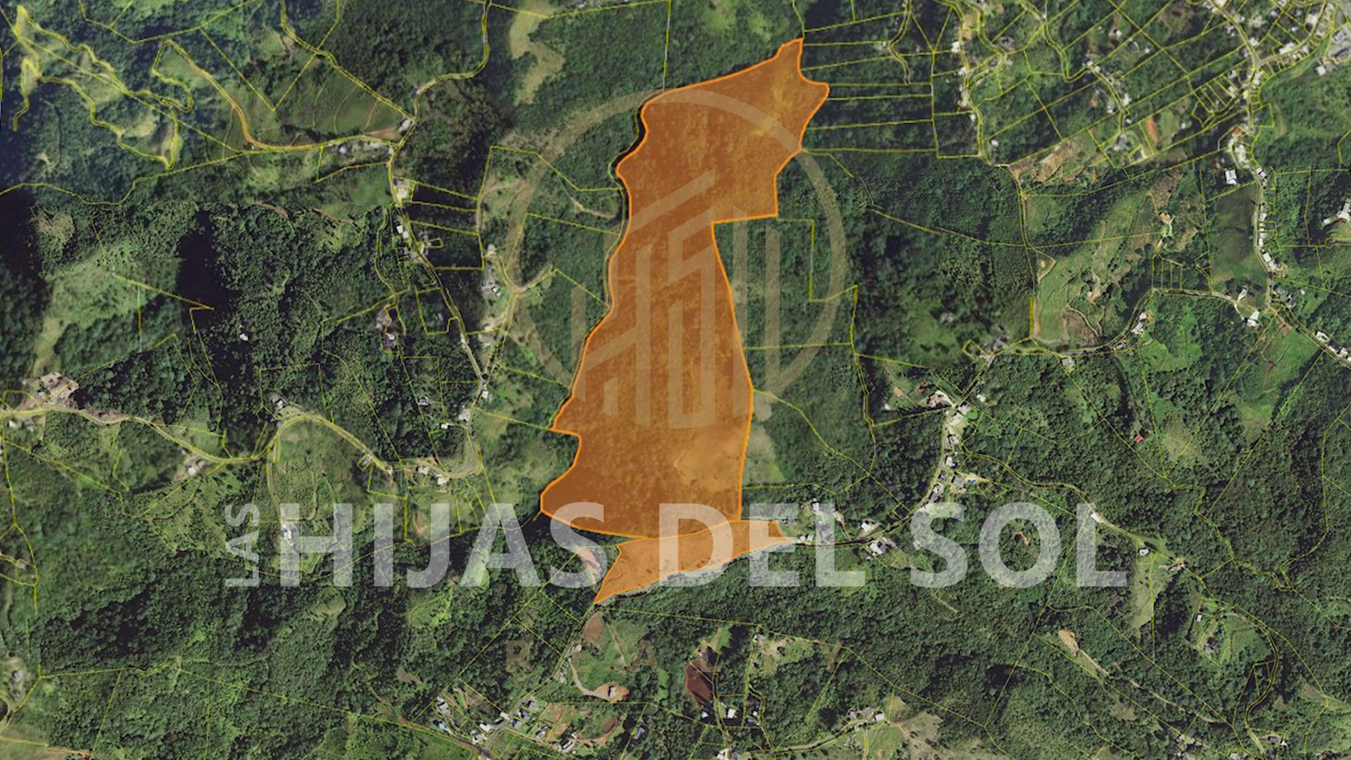 Barrio Saltos, Orocovis - 4