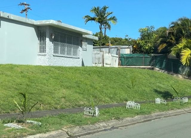 929 Calle Lirio, Trujillo Alto, PR, Trujillo Alto - 3