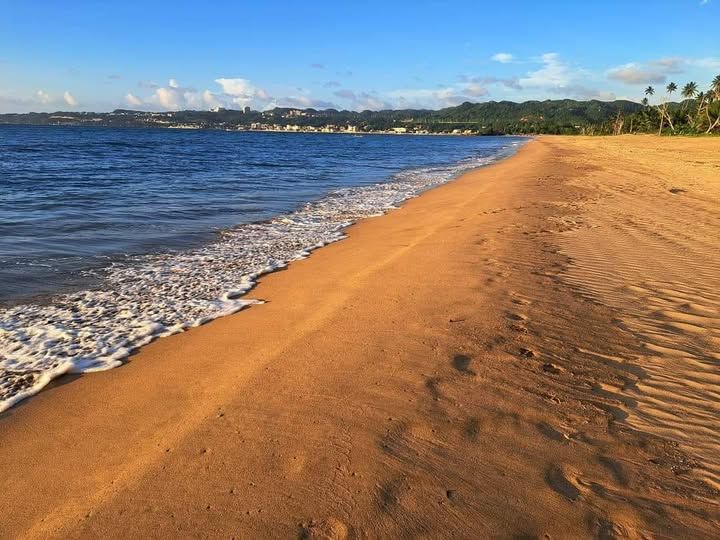 Calle 442 Km 0.7 Bo Espinar, Aguada , Aguada - 9