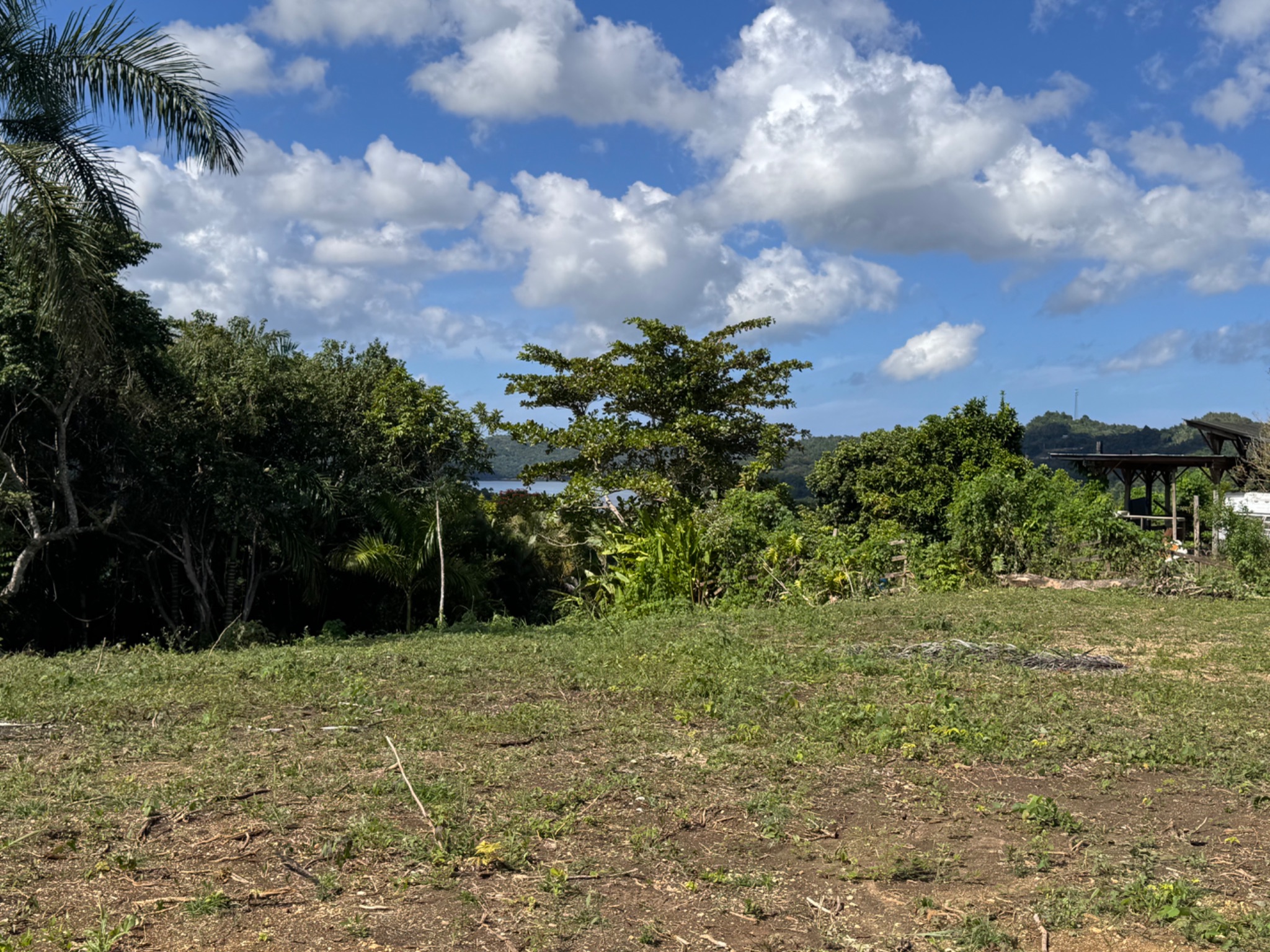 Carr 455 km 2.8 Int. Bo. Cibao, San Sebastian PR 00685, San Sebastián - 14