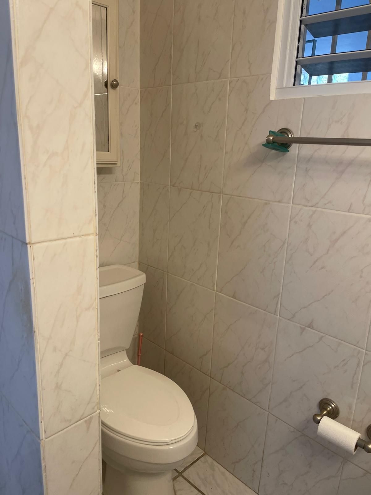 929 Calle Lirio, Trujillo Alto, PR, Trujillo Alto - 34