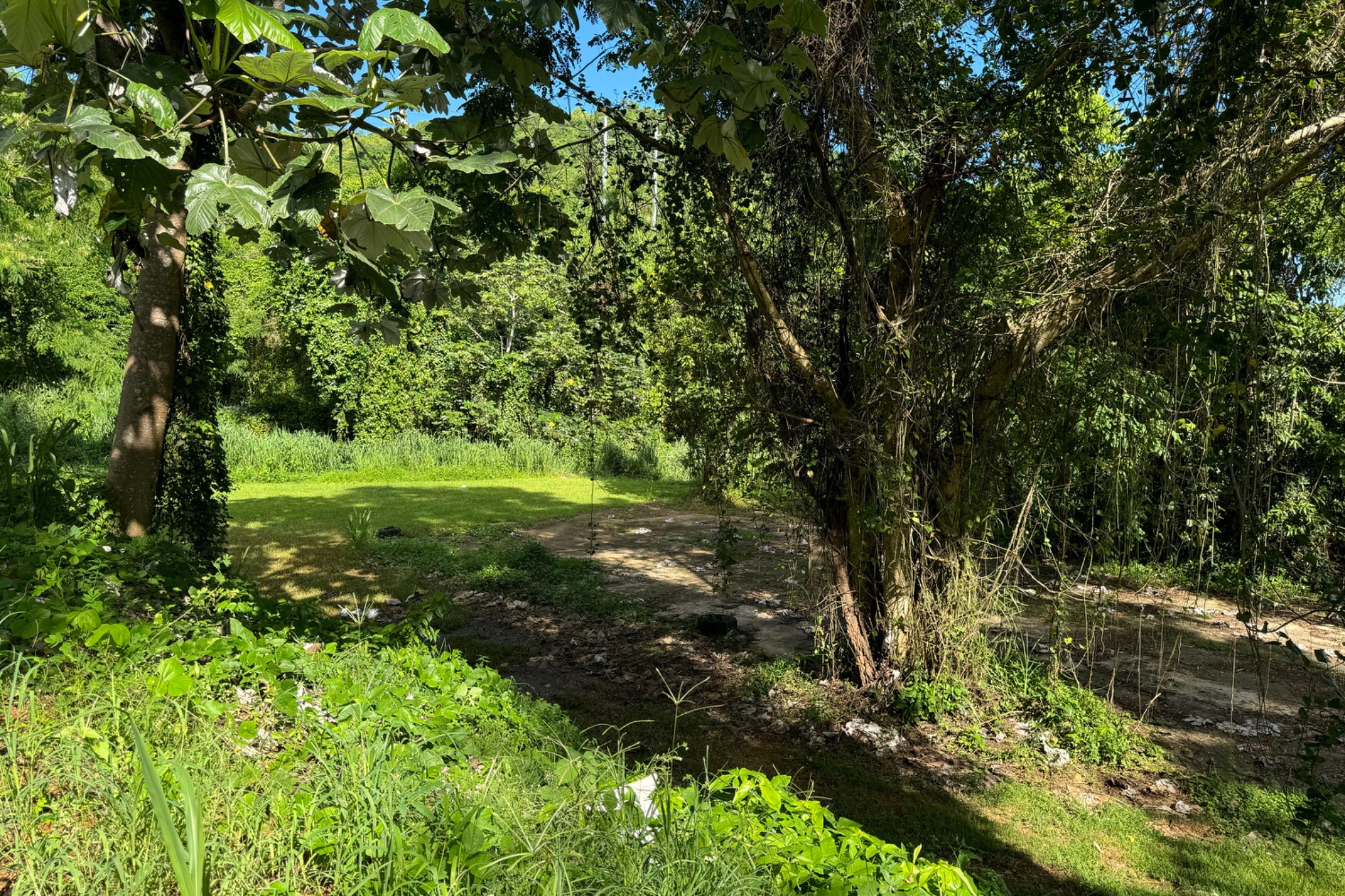 Finca de 10.6 cuerdas de terreno con 1,500 pies frente  Rio Canovanillas.  Preciosa!, Canóvanas - 5