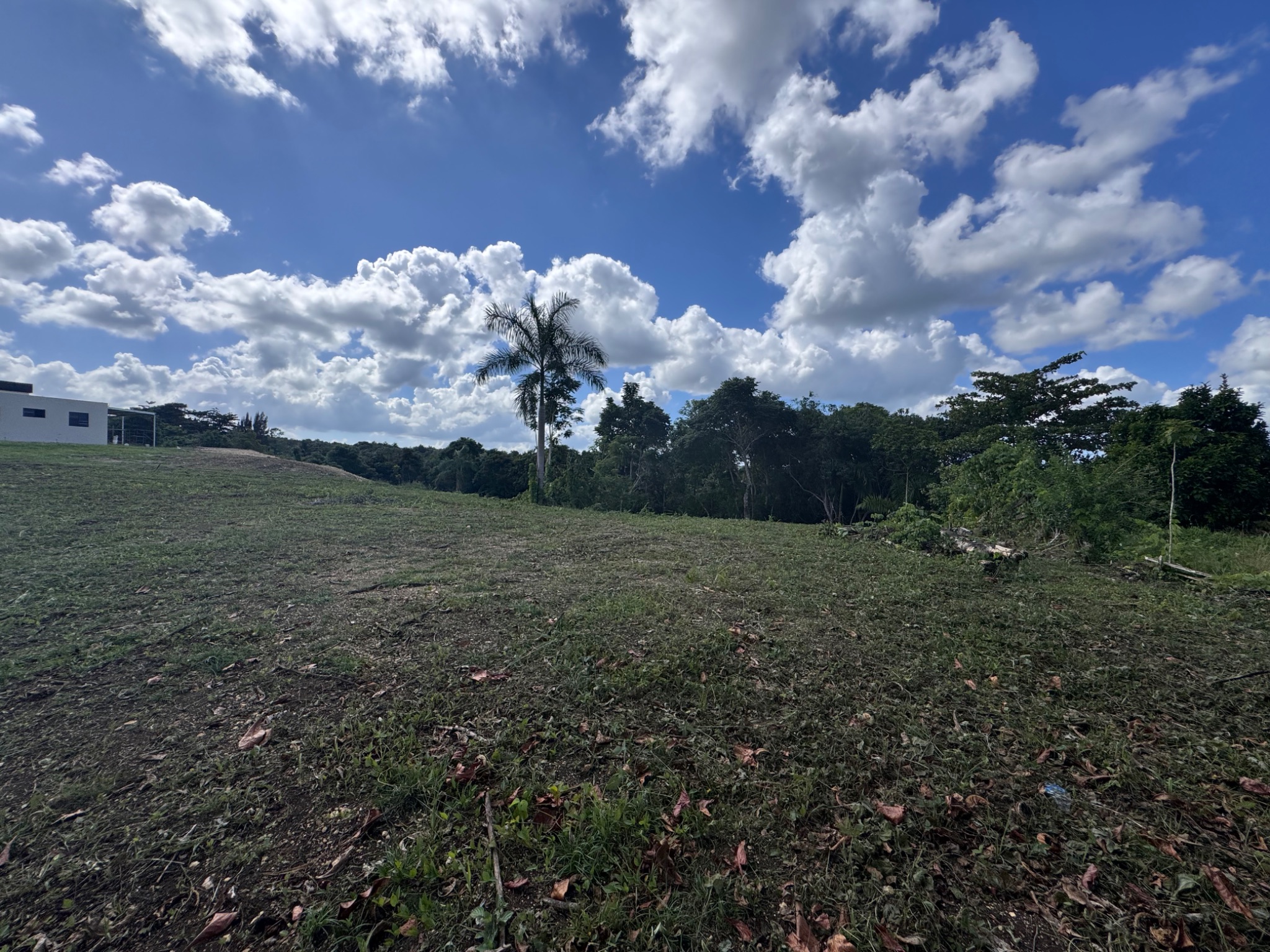 Carr 455 km 2.8 Int. Bo. Cibao, San Sebastian PR 00685, San Sebastián - 12