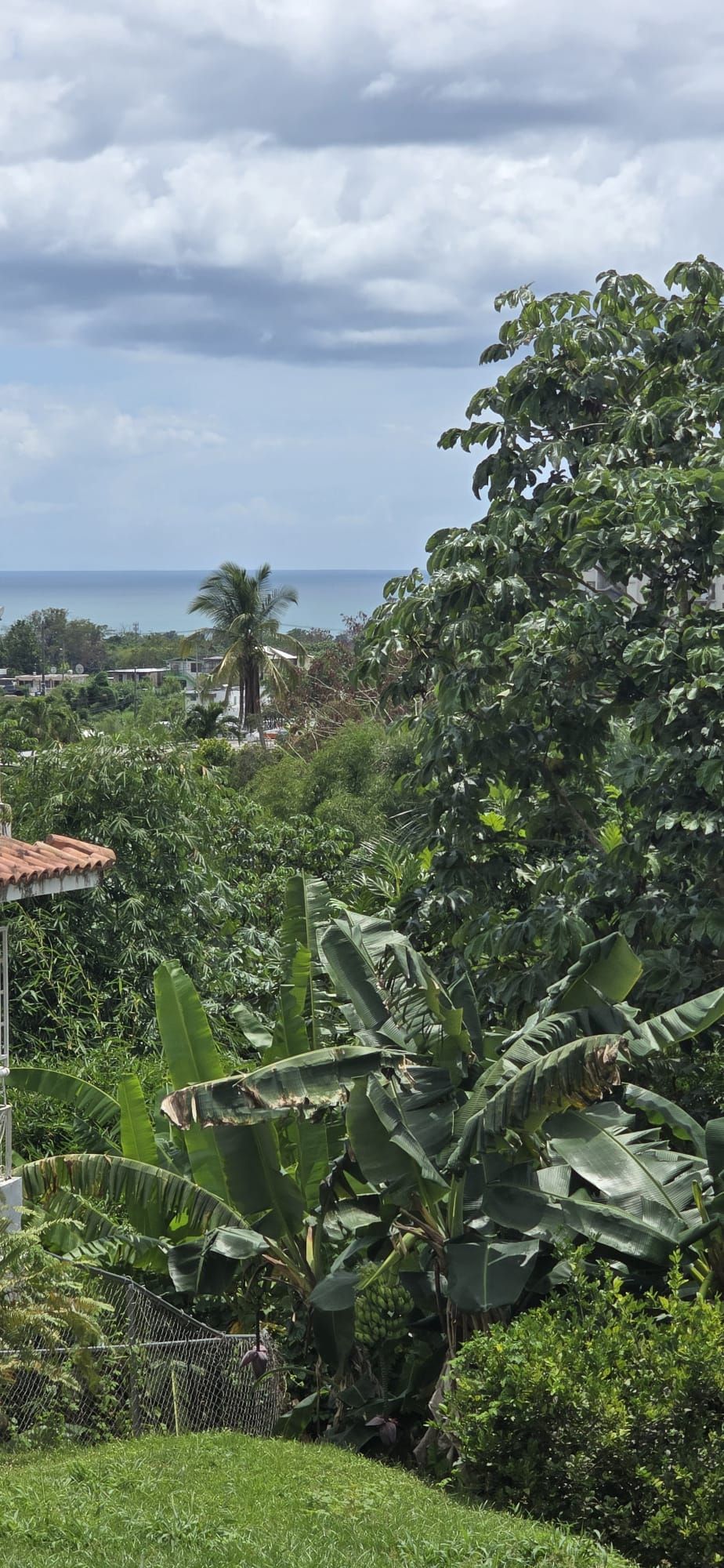 Miradero Mayagüez 00680 PR