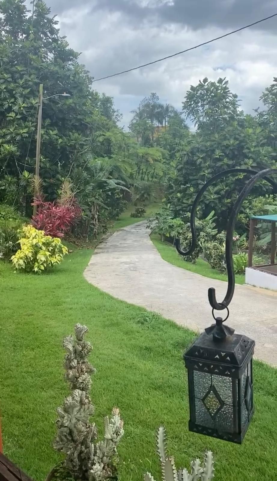 Camino Frank, Mayagüez - 4