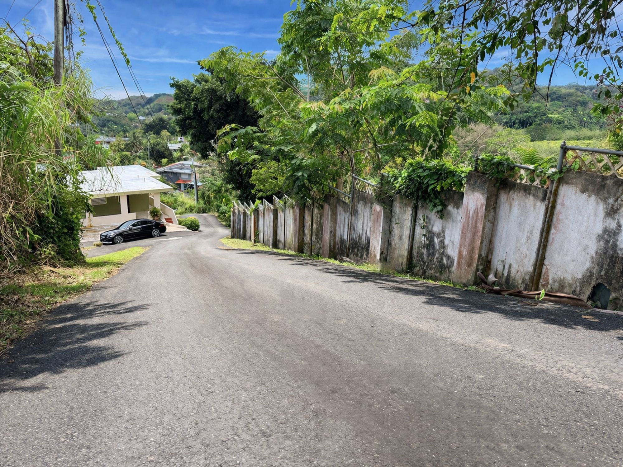 Camino Sioso Virella, Corozal - 4