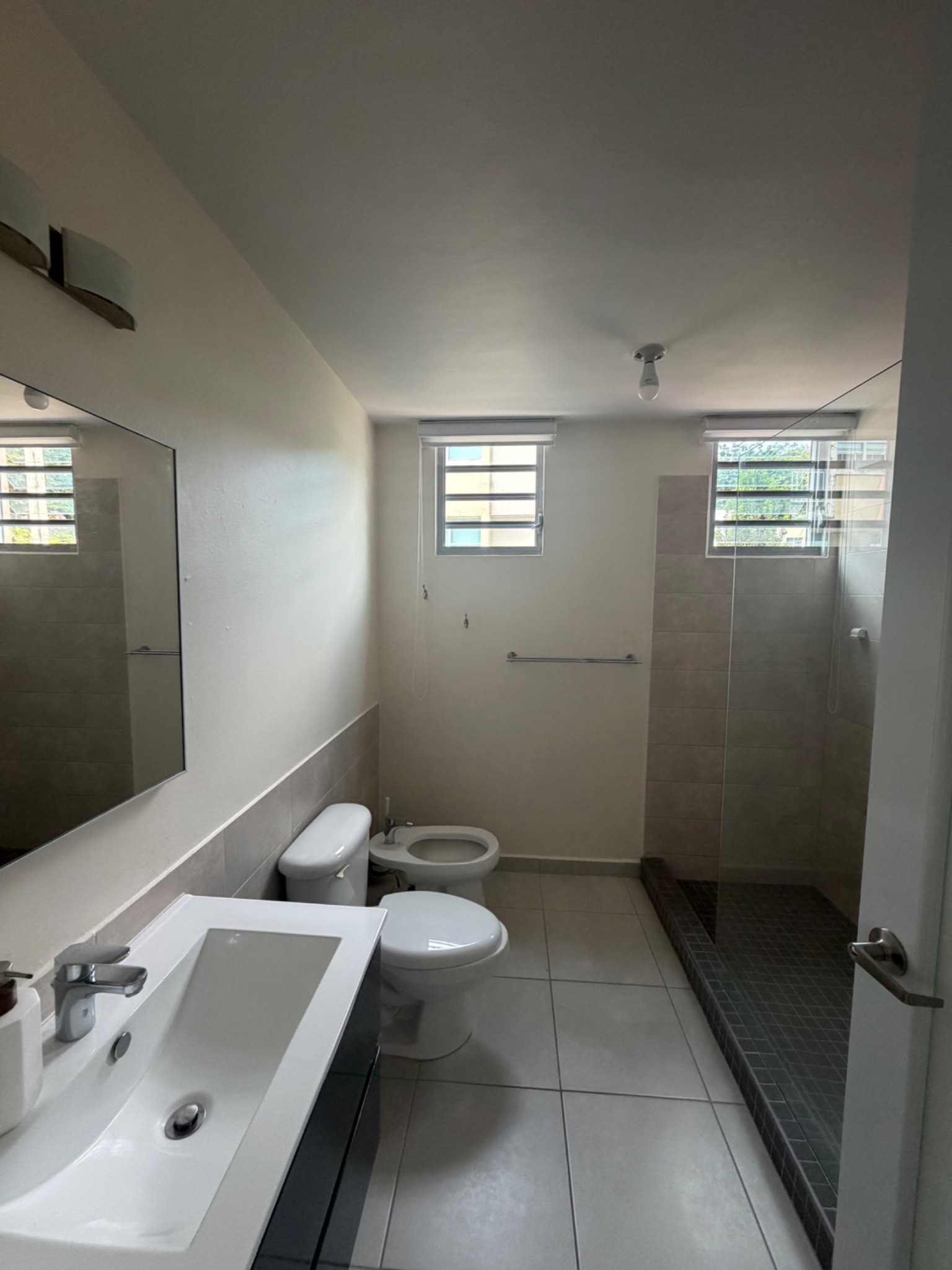 Ave alemanda, Guaynabo - 7
