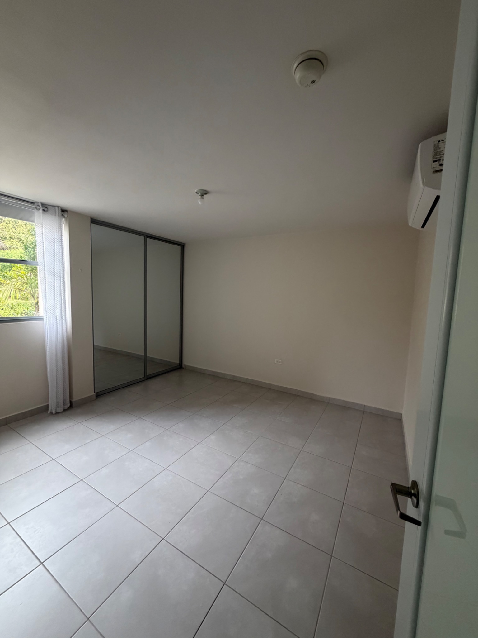 Ave alemanda, Guaynabo - 5