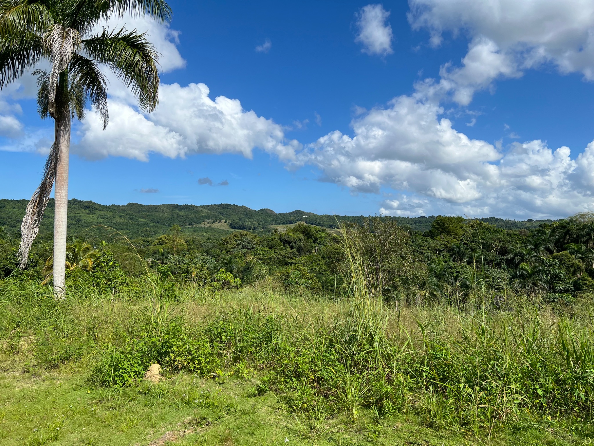 Carr 455 km 2.8 Int. Bo. Cibao, San Sebastian PR 00685, San Sebastián - 18