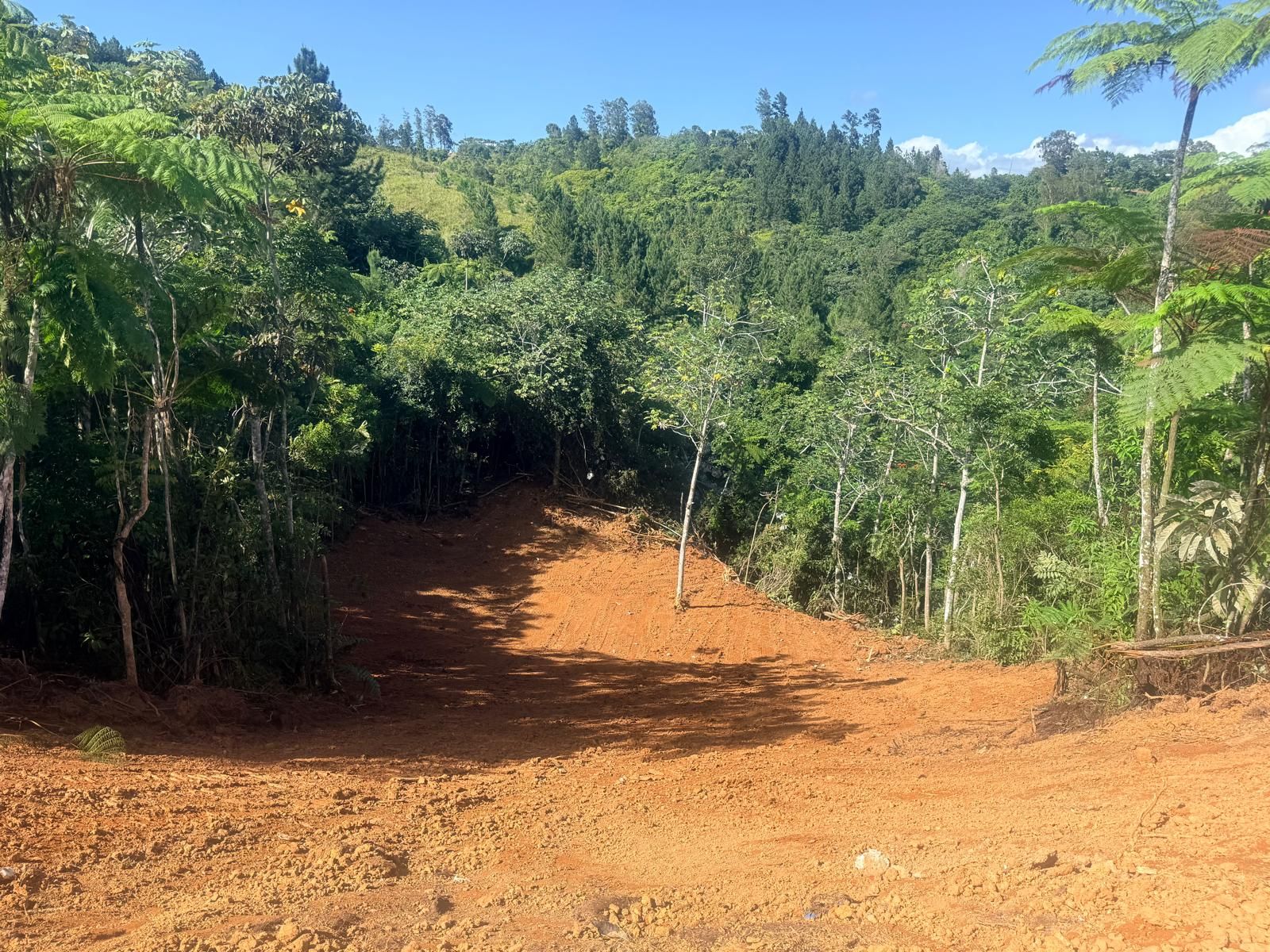 Maná, Corozal - 5