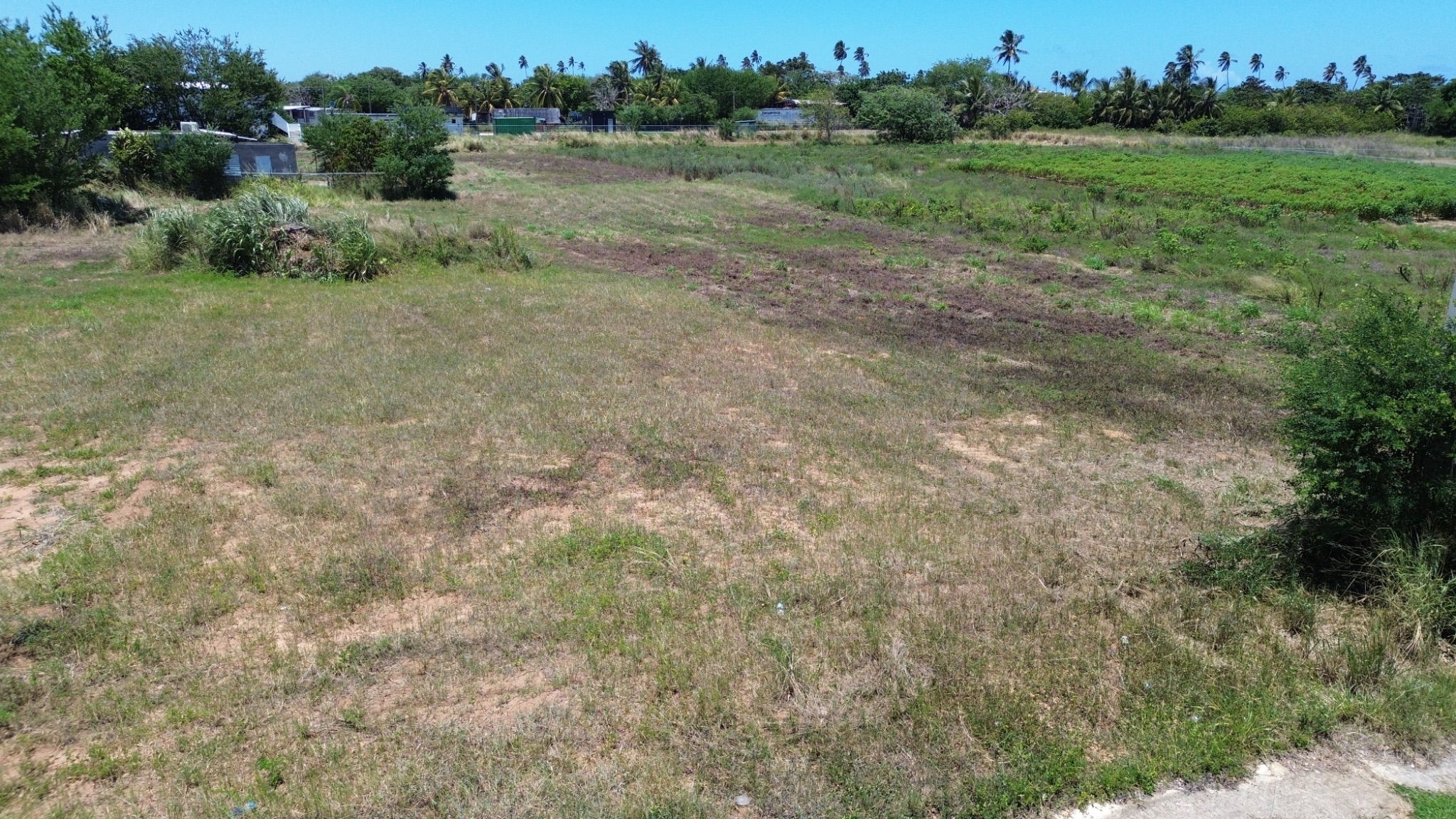 Jobos, Isabela - 10