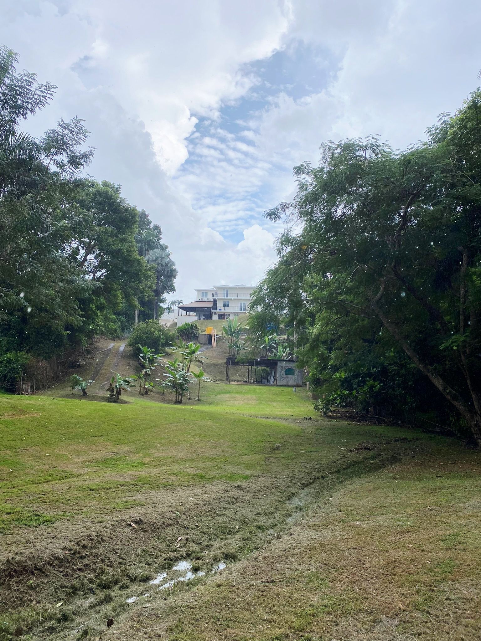 Barahona, Morovis  Sector Los Torres, Morovis - 9