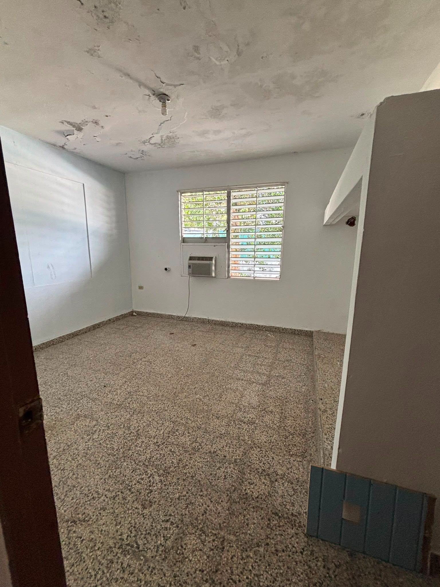 Algarrobo, Vega Baja - 4