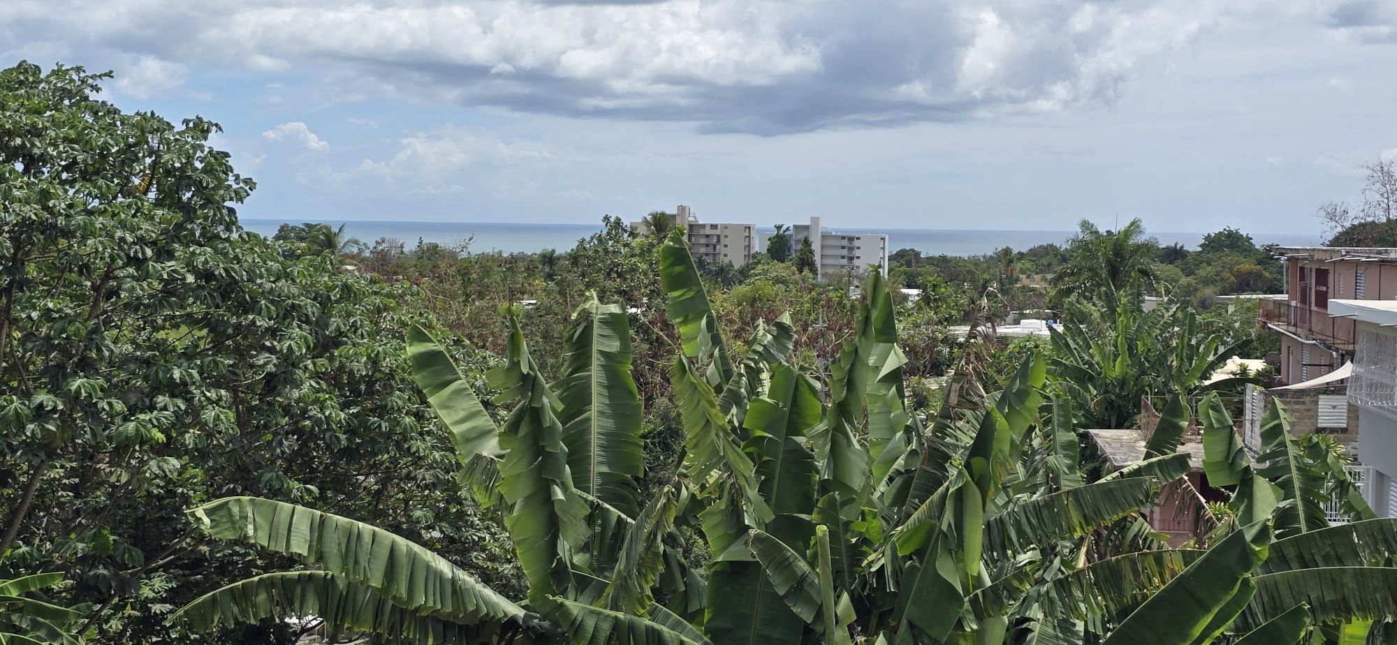 Miradero Mayagüez 00680 PR