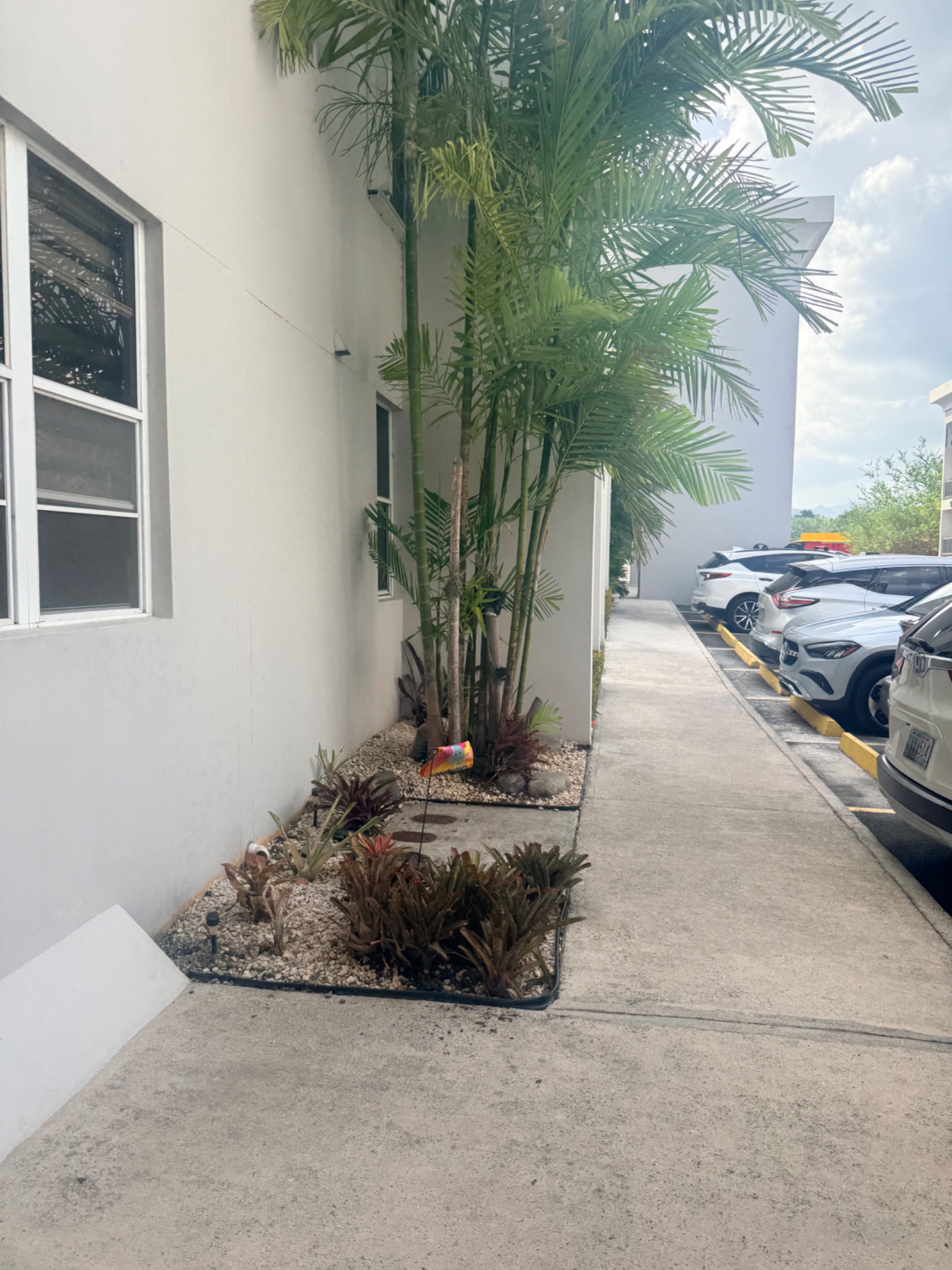 Veredas de Laurel, Ponce - 18