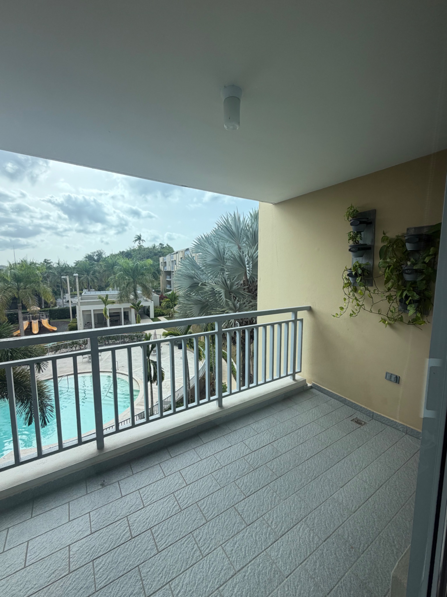 Ave alemanda, Guaynabo - 8