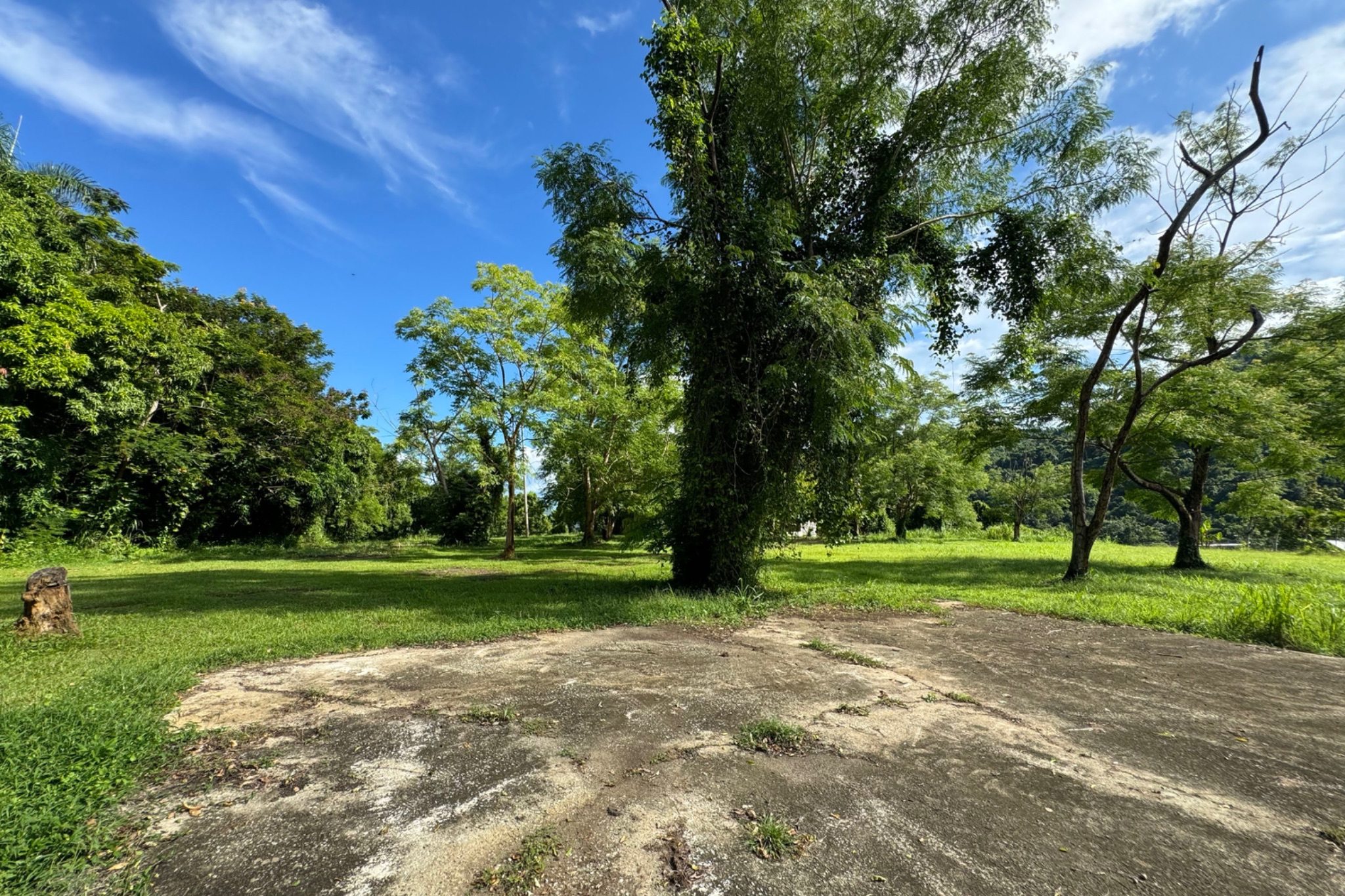 Finca de 10.6 cuerdas de terreno con 1,500 pies frente  Rio Canovanillas.  Preciosa!, Canóvanas - 3