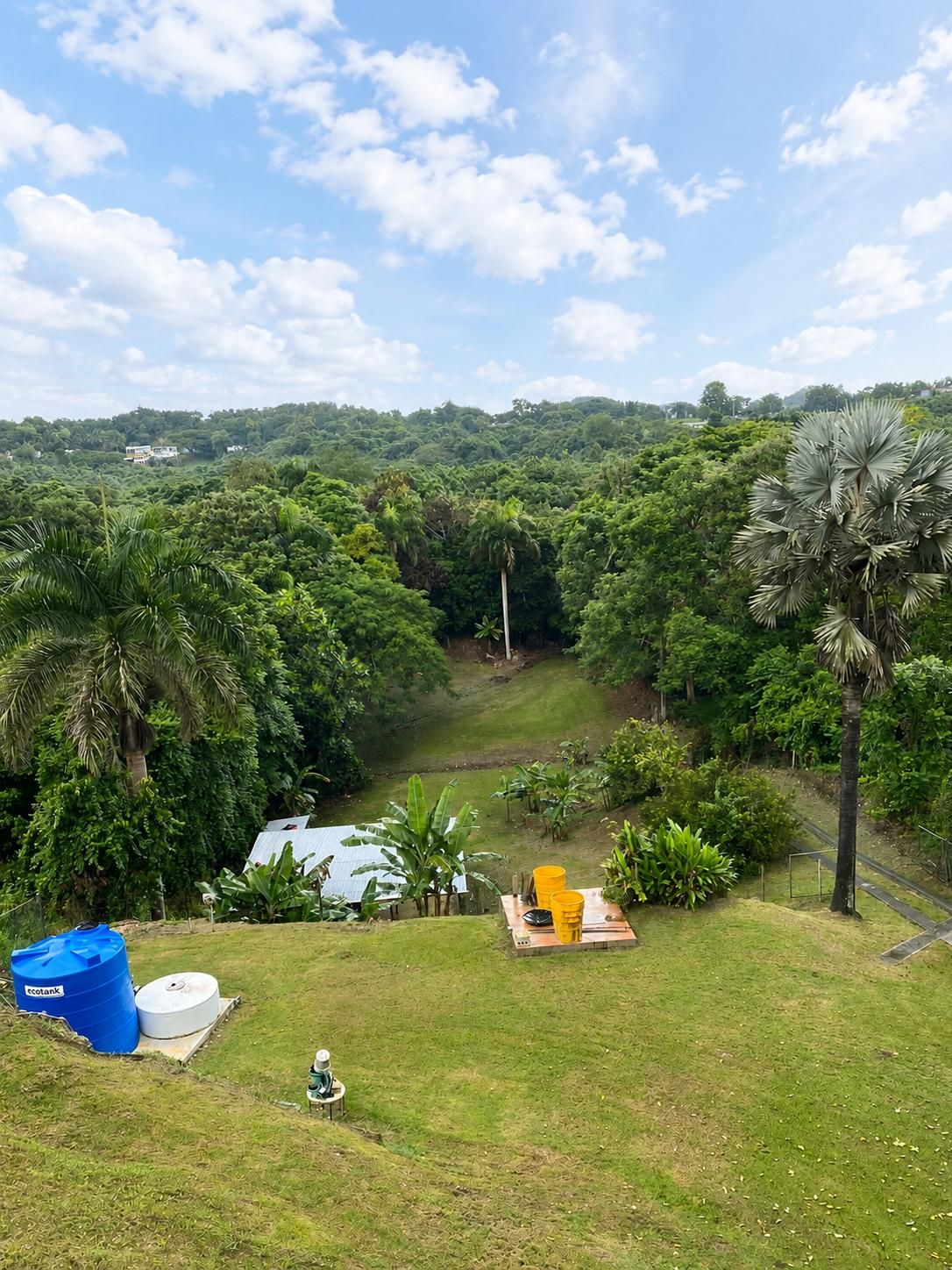 Barahona, Morovis  Sector Los Torres, Morovis - 15