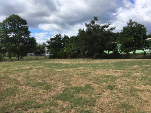 Branderi, Guayama - 1