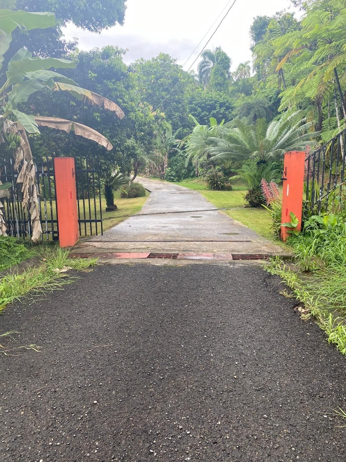 Camino Frank, Mayagüez - 2