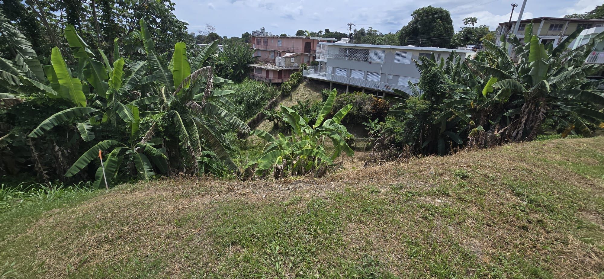 Miradero Mayagüez 00680 PR