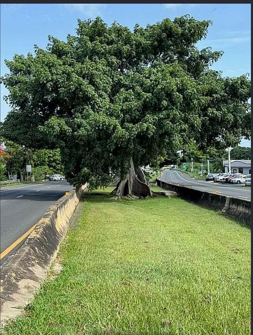 SR-2 Km 99.26 San José Ward Quebradillas, PR, Quebradillas - 10