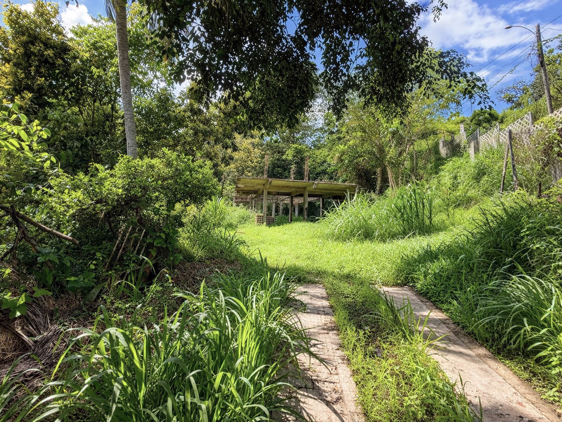 Camino Sioso Virella, Corozal - 5