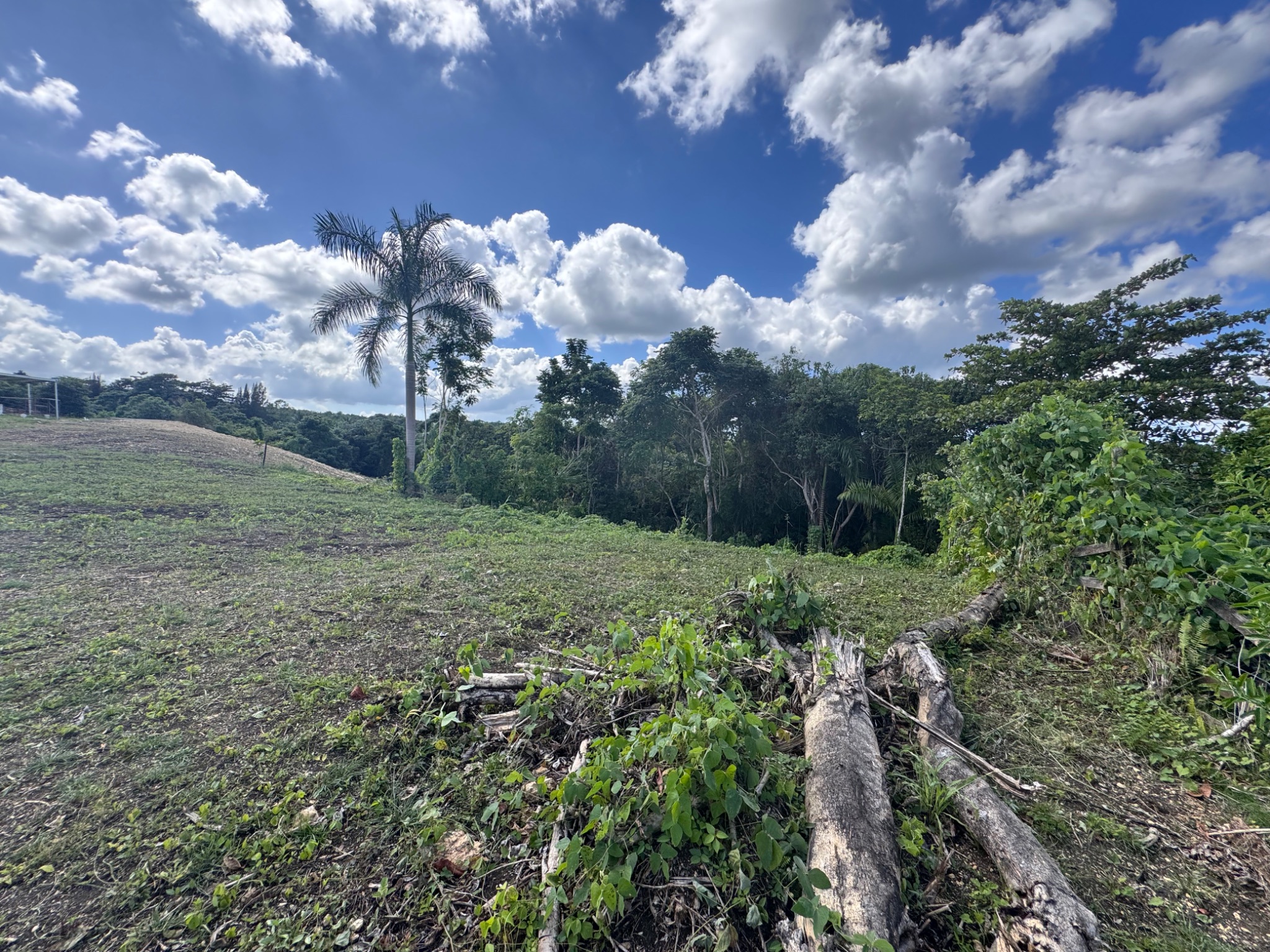 Carr 455 km 2.8 Int. Bo. Cibao, San Sebastian PR 00685, San Sebastián - 5