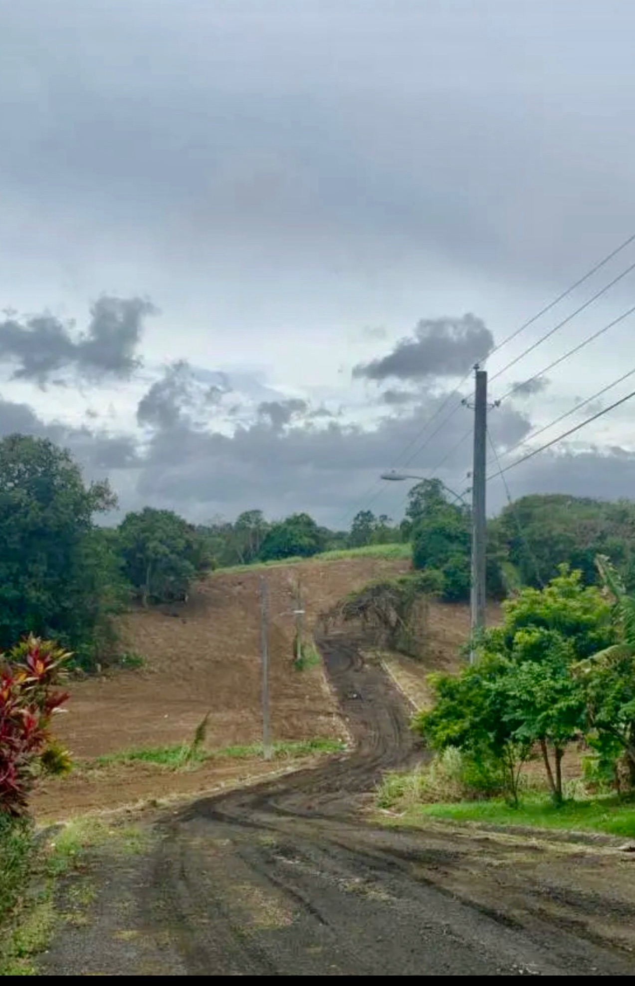 Las tres T, Rio grande PR, Río Grande - 1