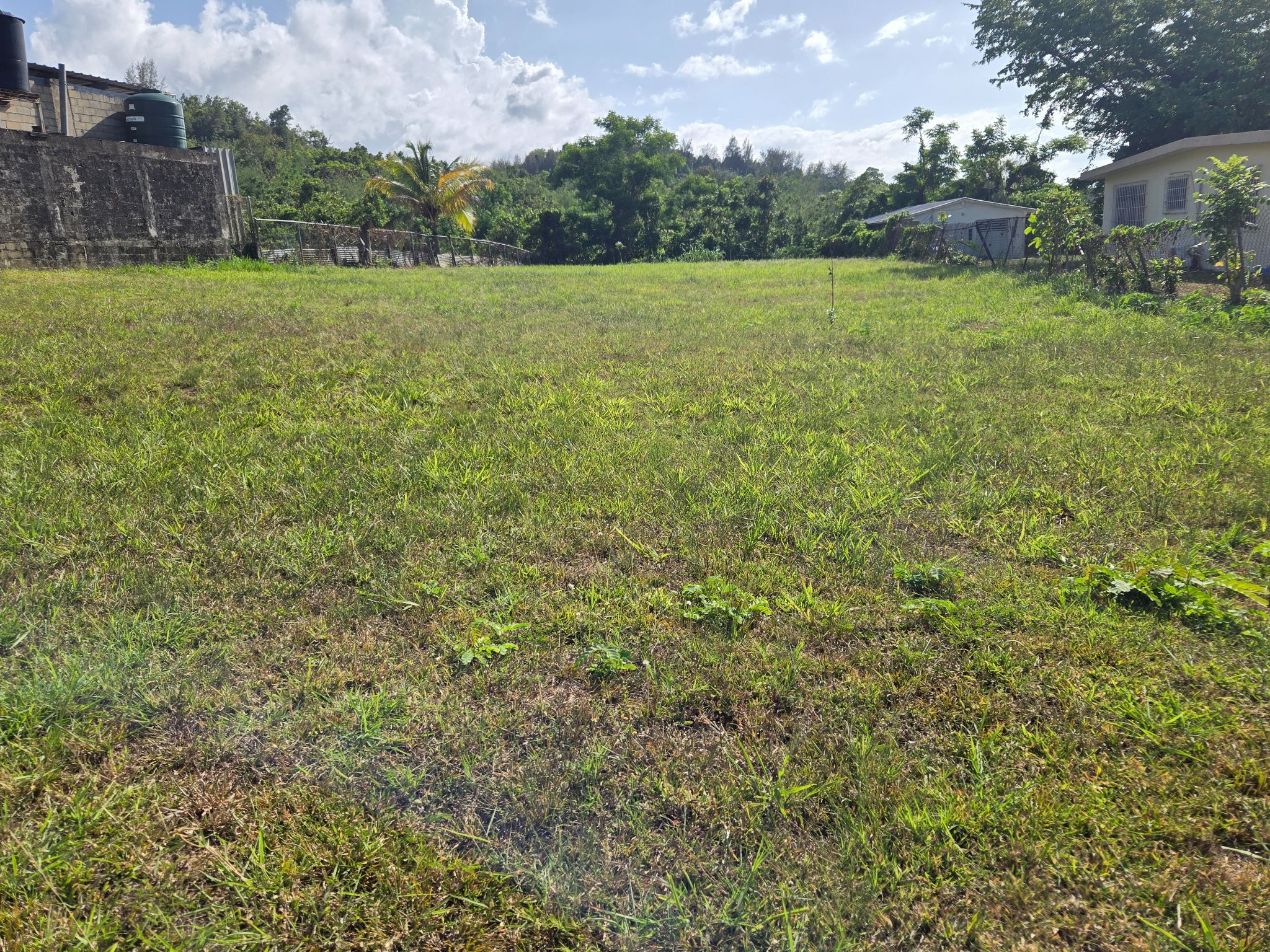 Bo Rio Arriba Saliente carr 643 Manati PR, Manatí - 2