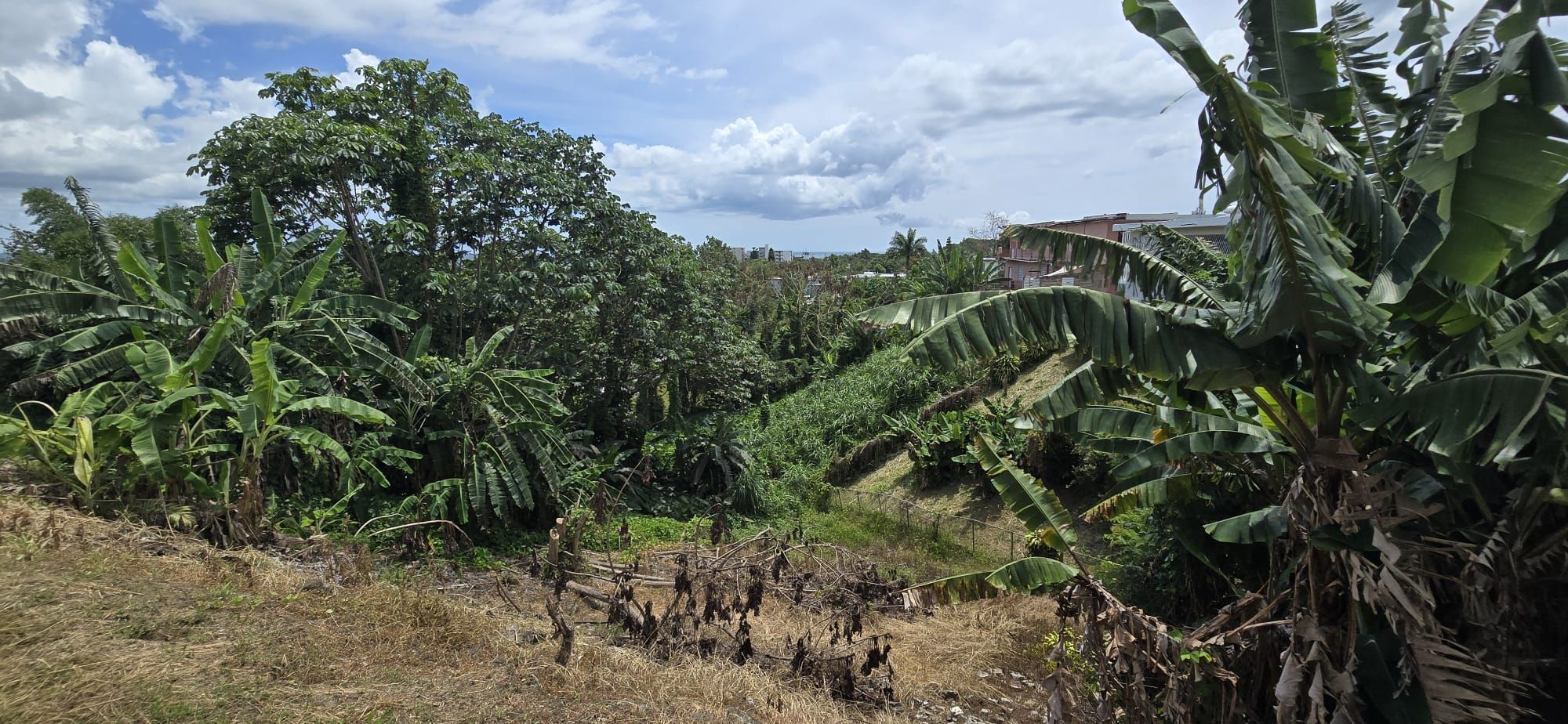 Miradero Mayagüez 00680 PR