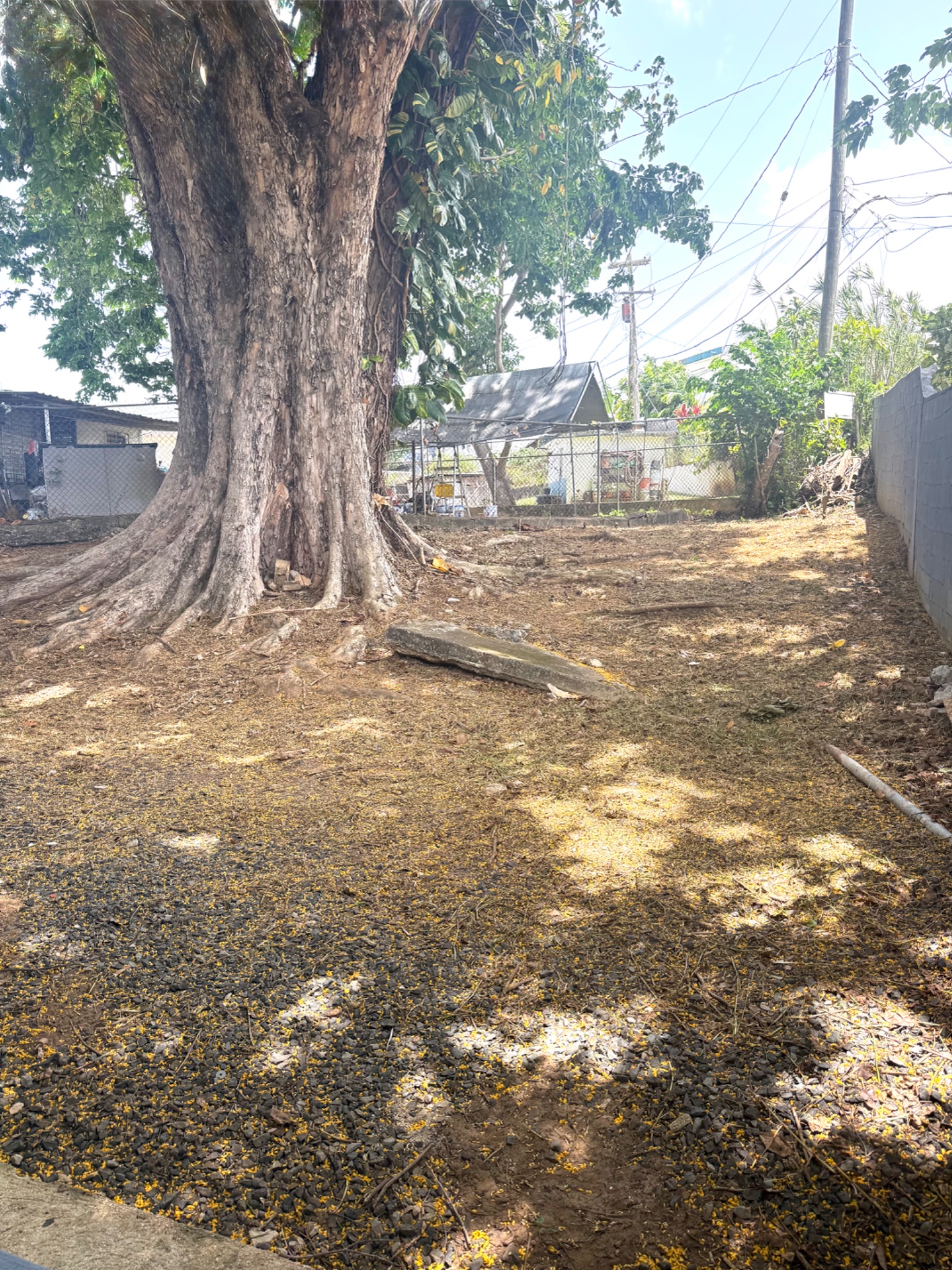 Calle Capitán Correa, Bayamón - 6