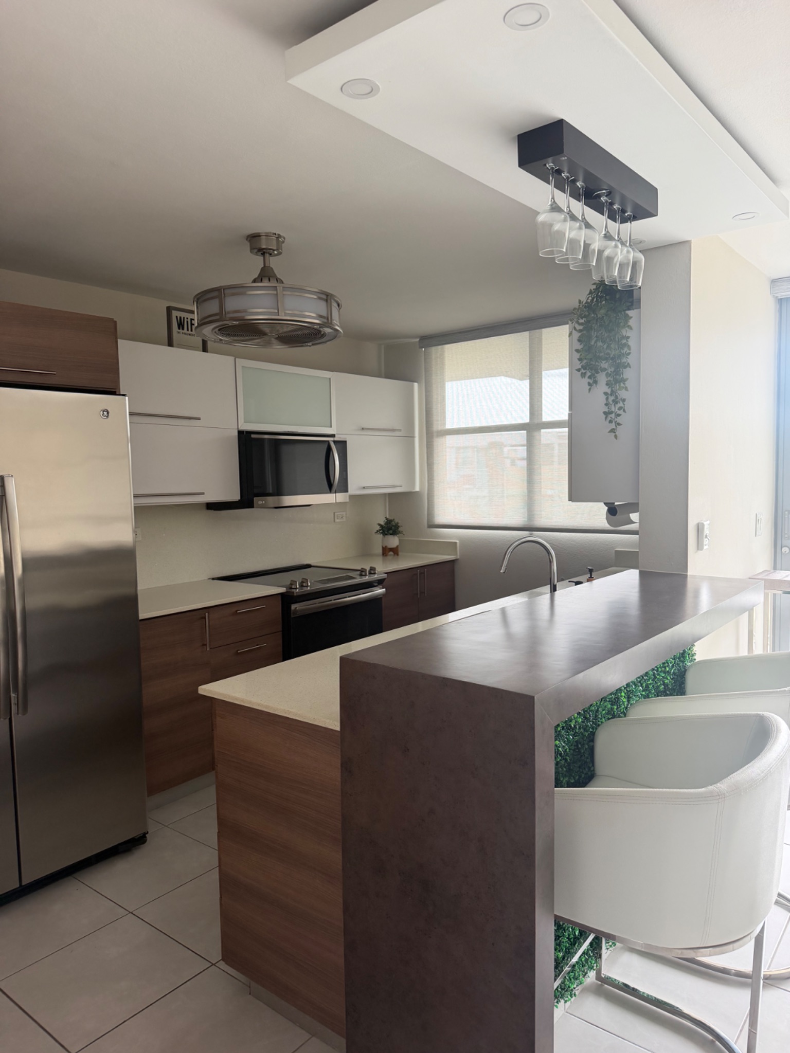 Ave alemanda, Guaynabo - 6