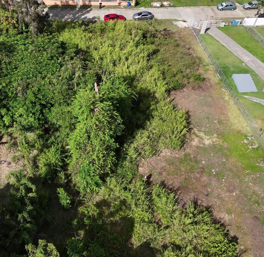Urb. Toita, Cayey — foto 2