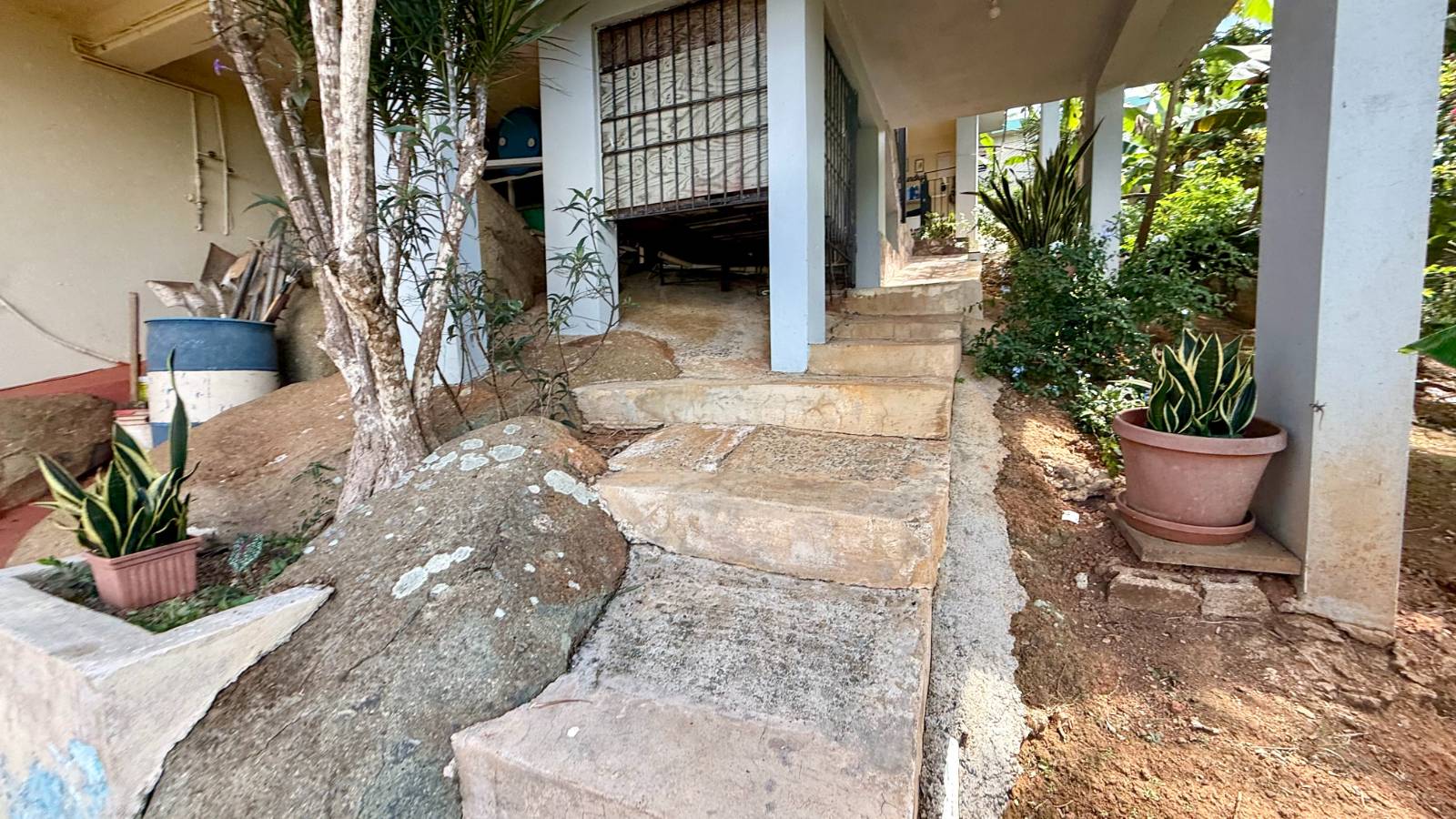 Lot 1, Rd.957, Km 3.7 Int. Palma Sola Ward, Canovanas - 80